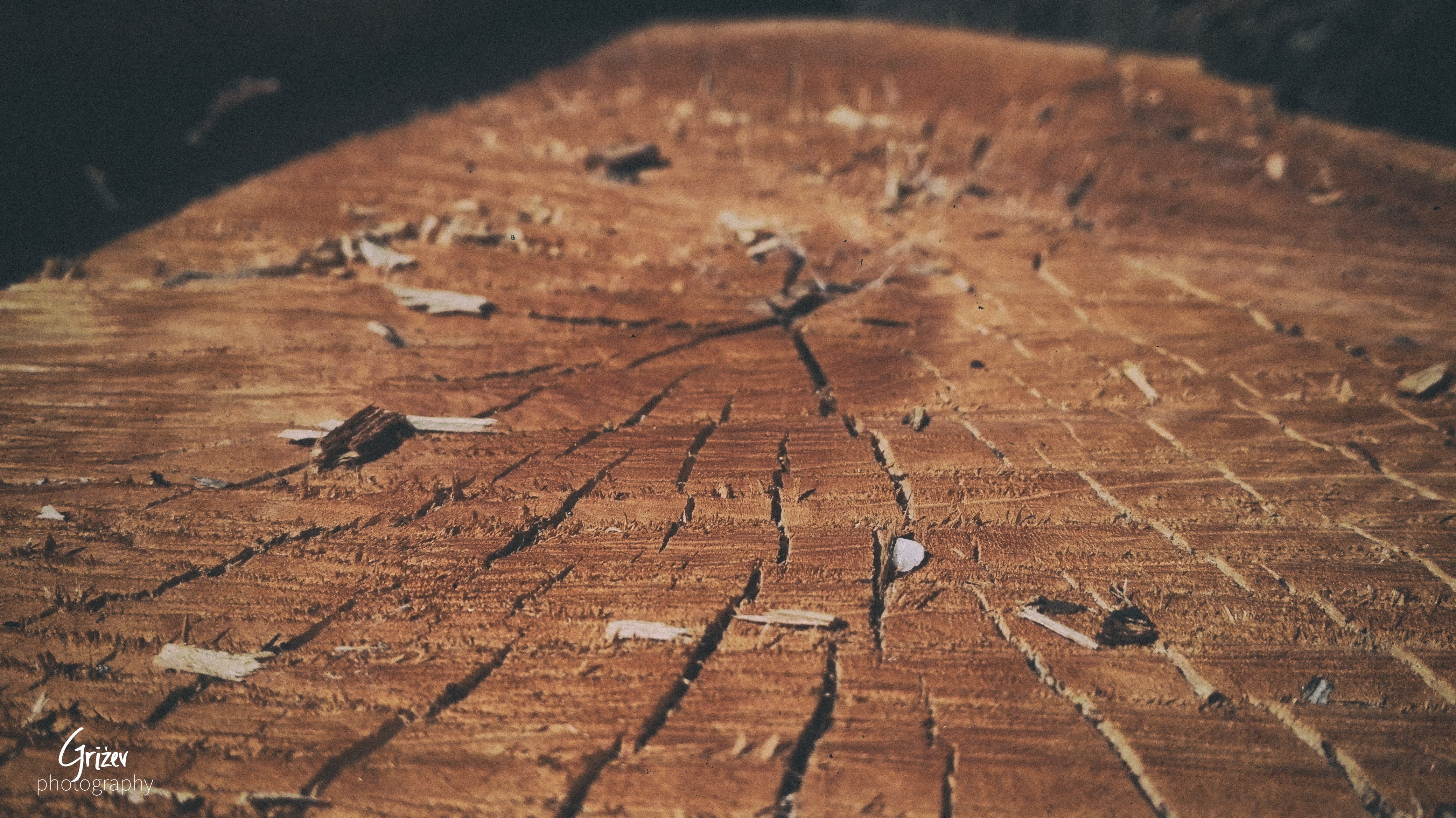 outdoors, wood, tree bark, nature, 4K, HD Wallpaper
