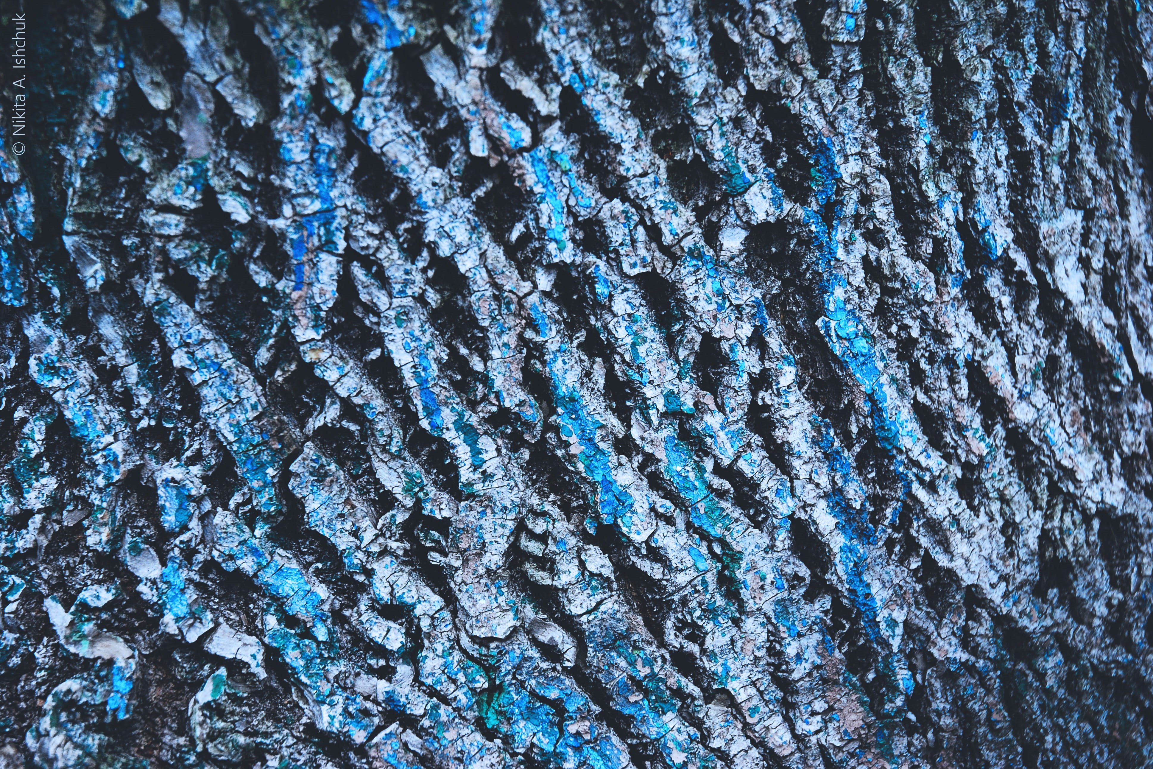 Closeup, full frame, shot, crystal, frozen, pattern, textures, outdoors, winter, wood, backgrounds, textured, close-up, snow, nature, bark, 4K, beauty in nature, HD Wallpaper