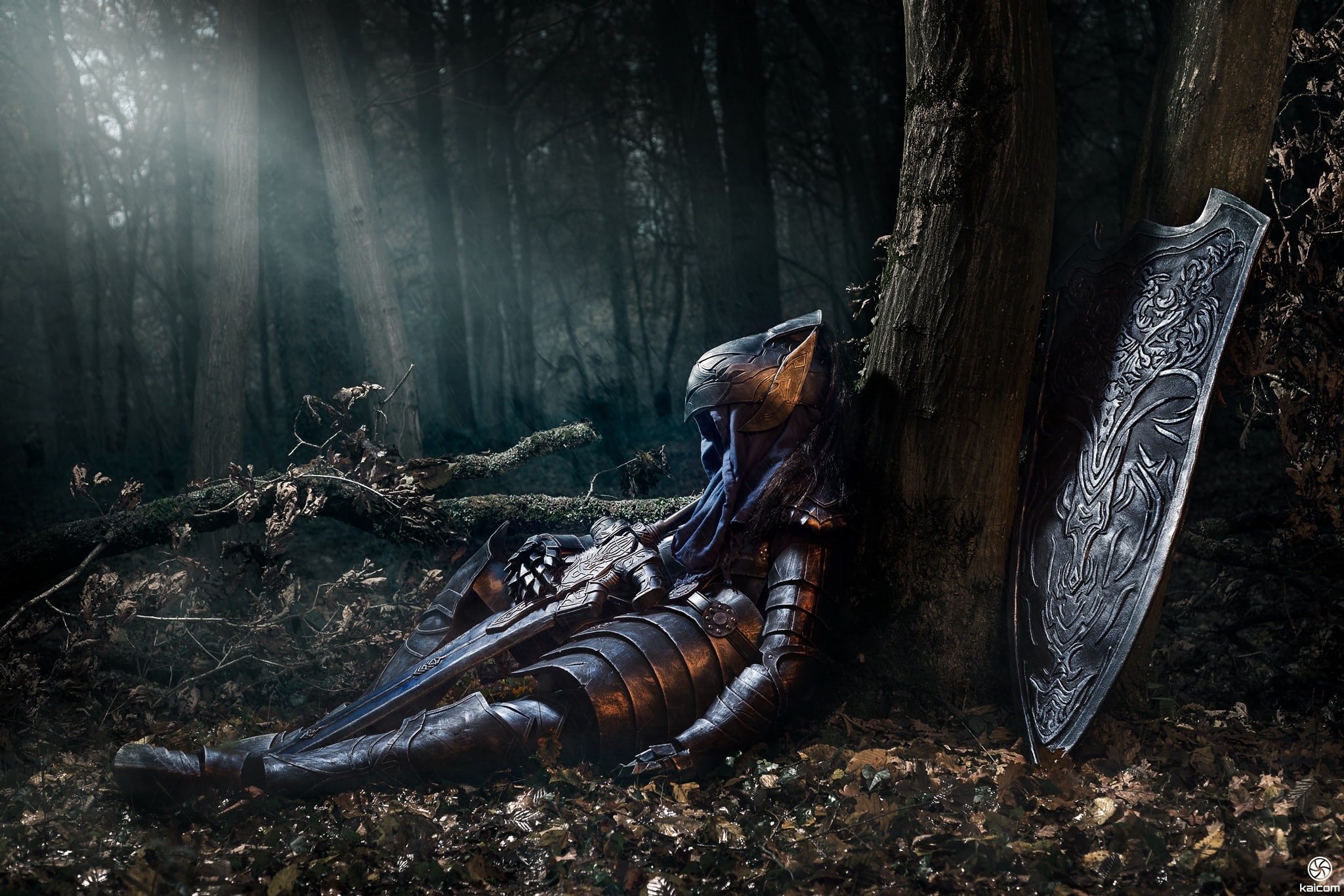 plant, dark souls, log, wood - material, tree, bone, dark forest, non-urban scene, armor, tree trunk, full length, nature, land, firewood, wood, abandoned, HD Wallpaper