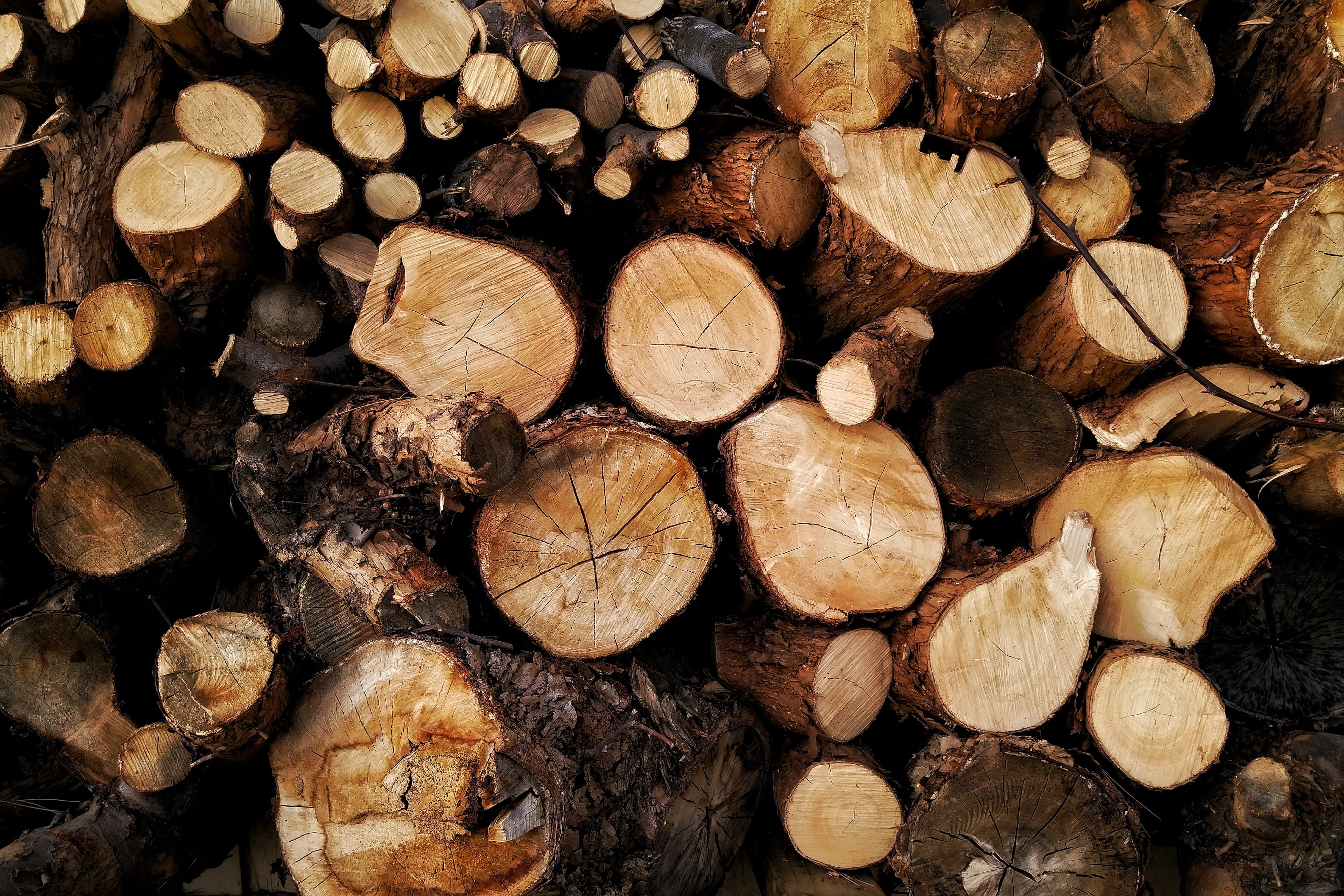 lumber Industry, outdoors, natural, tree Trunk, environmental issues, large group of objects, material, wood, nature, full frame, woodpile, forest, brown, HD Wallpaper
