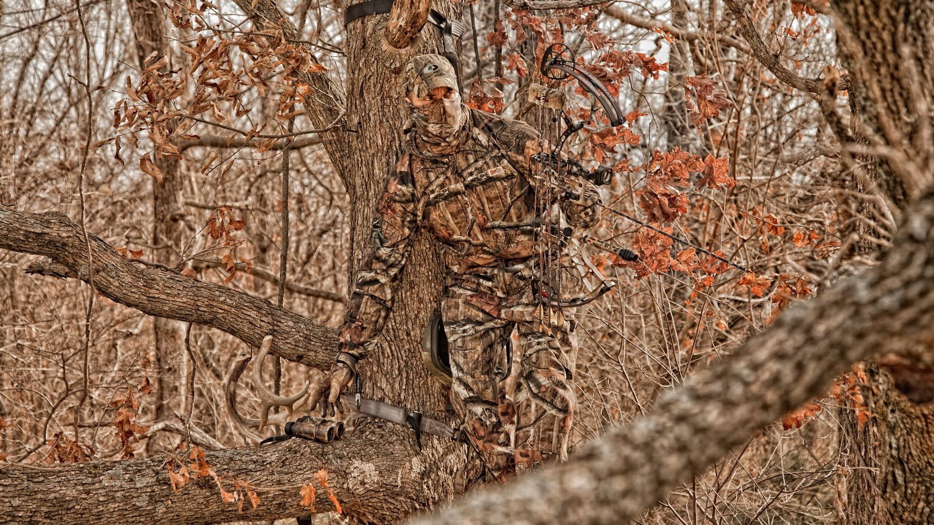 camouflage, Wallenstein Ais, Woodland Camouflage, 1080P, archery, HD Wallpaper