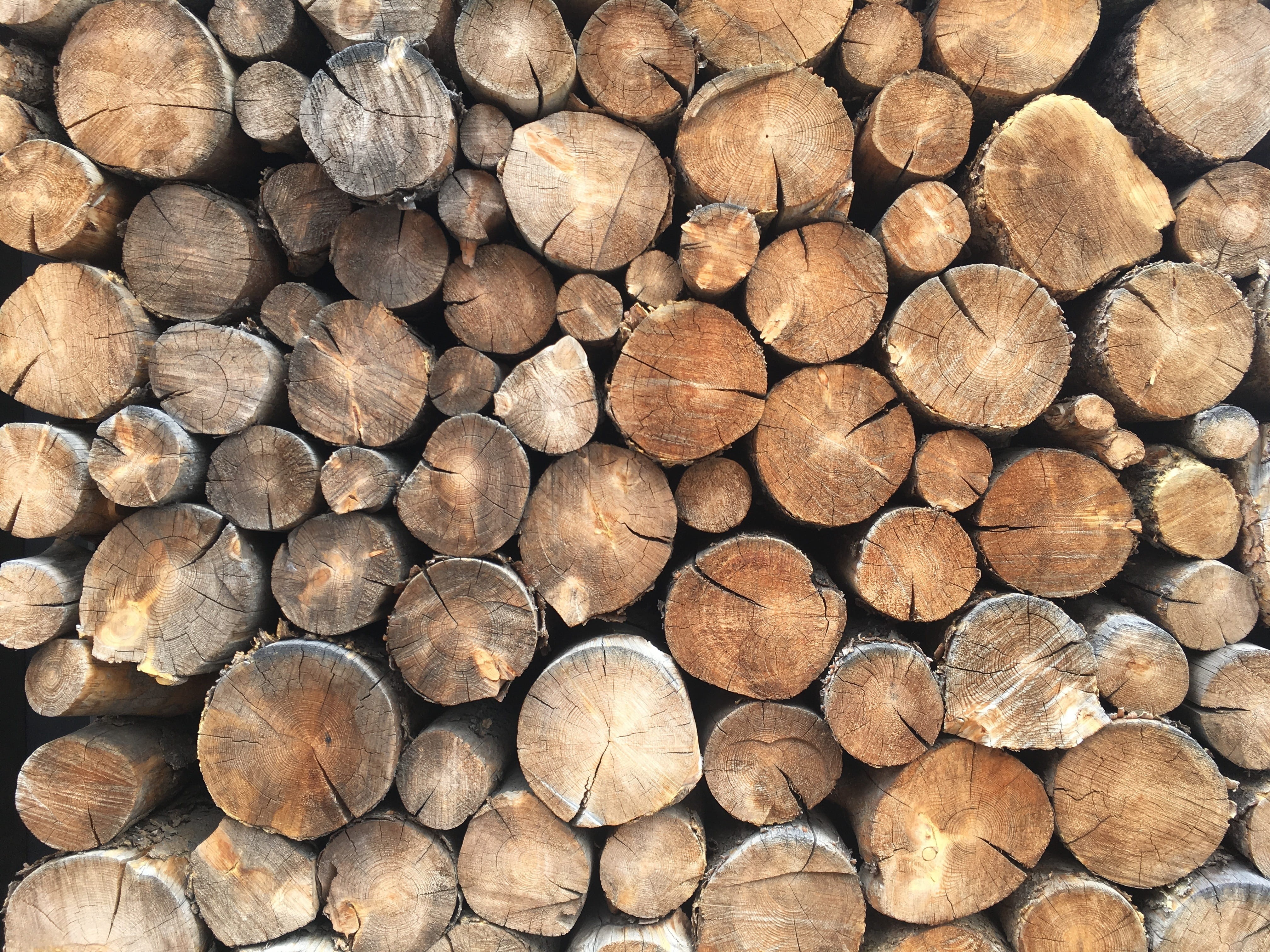 deforestation, wooden, log, abundance, texture, stack, backgrounds, brown, wood grain, nature, pine, environmental issues, heap, logs, timber, fuel and power generation, HD Wallpaper