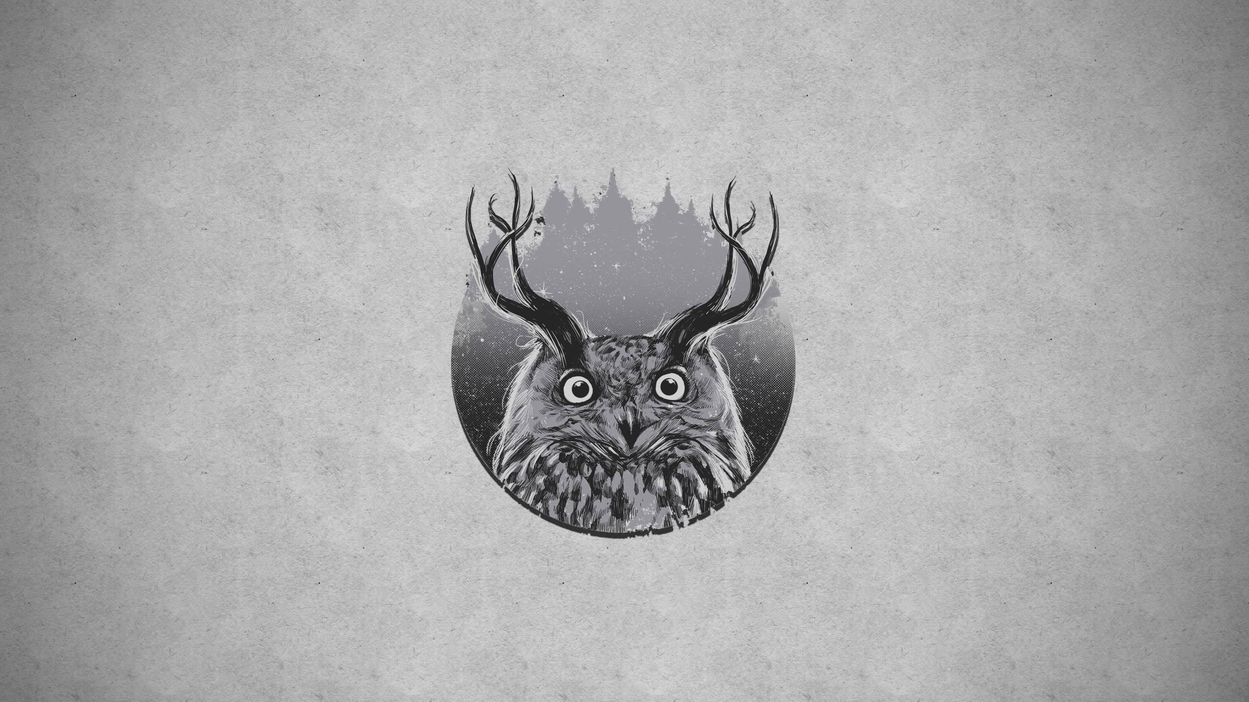 wall - building feature, ornate, representation, animal representation, owl, black, creativity, hanging, animal wildlife, art and craft, day, animal, illustration, HD Wallpaper