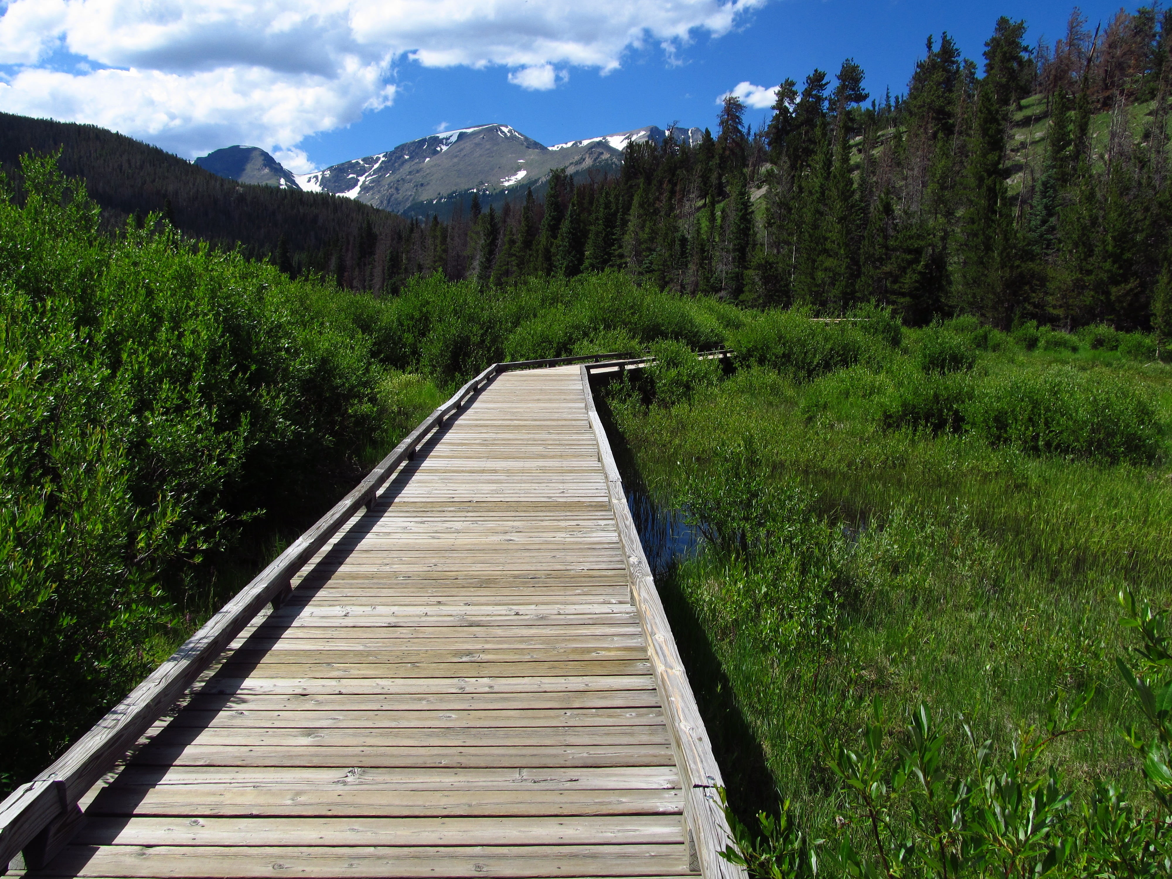 rocky, forest, mountain, in between, summer, national, Scenery, nature, brown, Road Trip, daytime, NPS, Boardwalk, pathway, 4K, park, scenics, tree, Landscape, HD Wallpaper