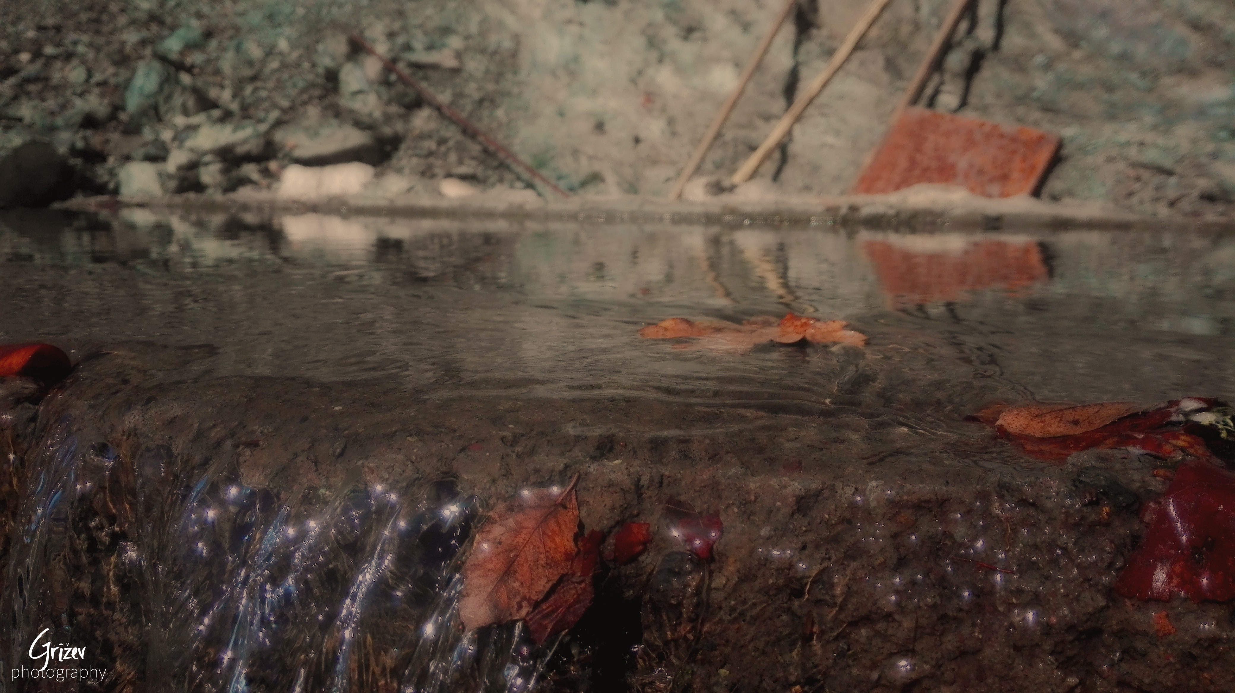 tree bark, 4K, sheet, Falling Water, nature, grass, Cosmos (flower), stones, HD Wallpaper
