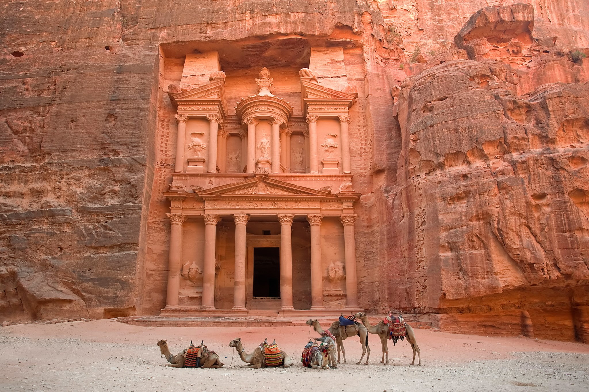 jordan, mammal, domestic, 1080P, travel, animal themes, working animal, day, domestic animals, building exterior, animal, tourism, built structure, ancient history, HD Wallpaper