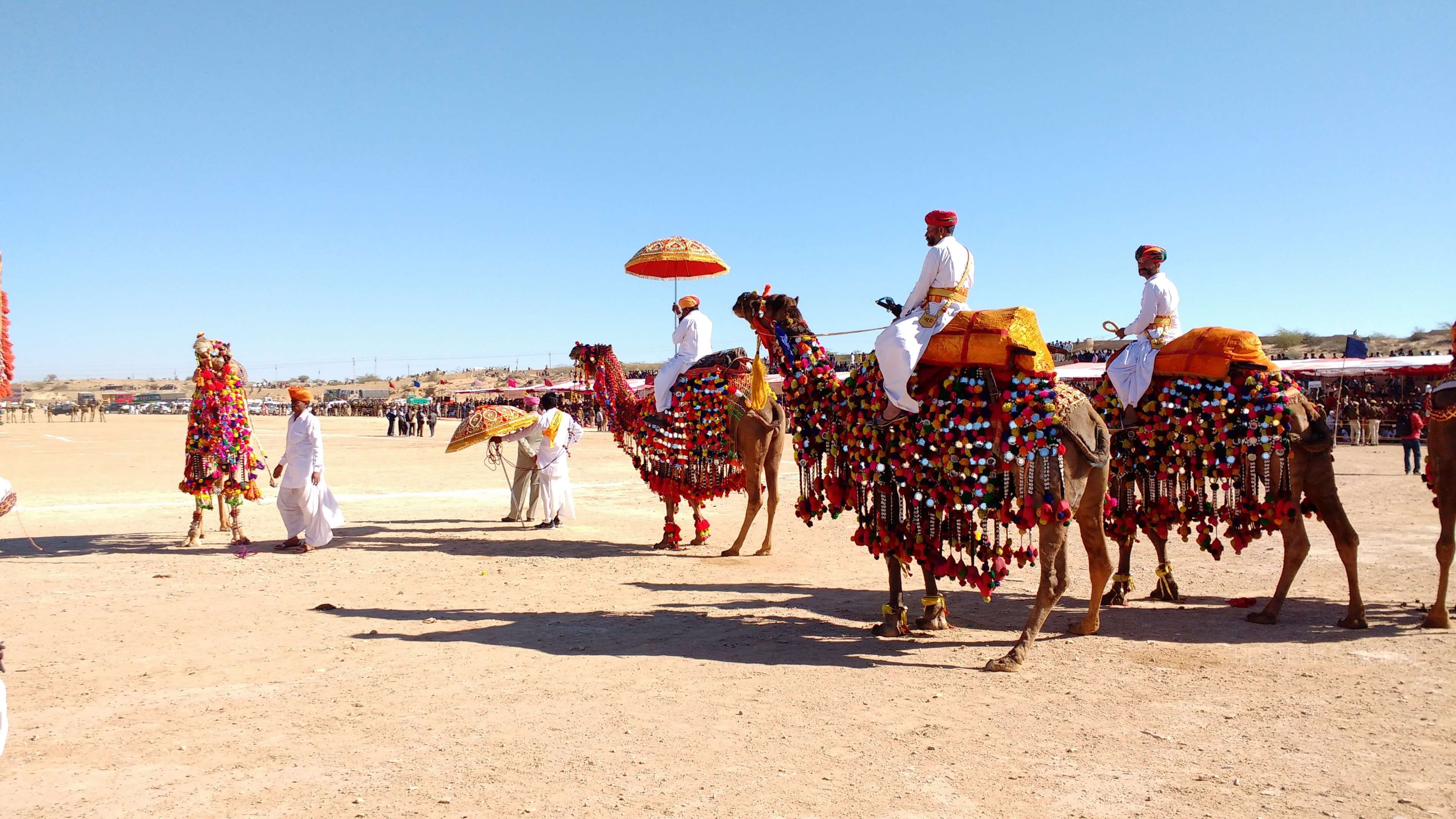 hot colors, sky, kurta, sunny, group of people, clear sky, nature, day, group of animals, desert, mobile photography, 4K, rajasthan, hot, animal wildlife, HD Wallpaper
