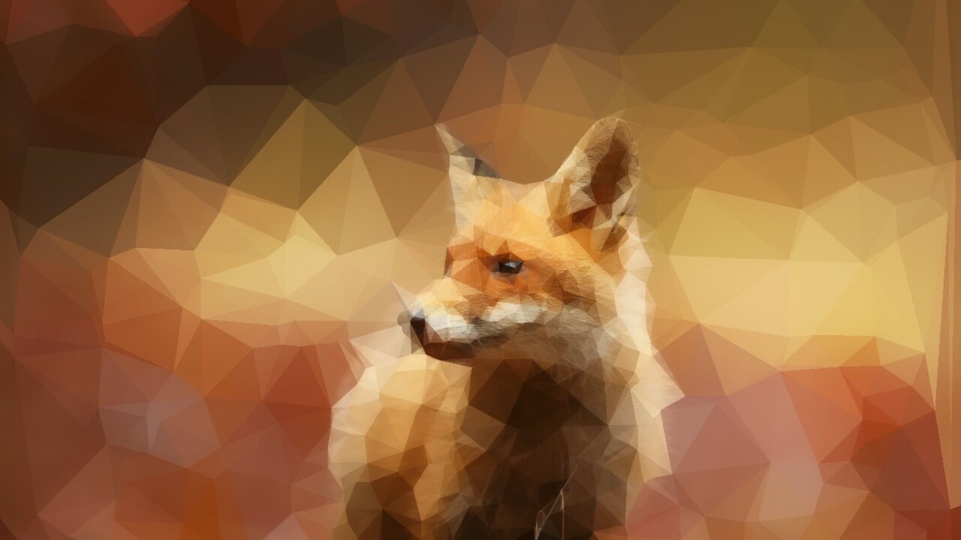 canine, animal head, fox, animal, animal themes, shapes, no people, abstraction, one animal, vertebrate, mammal, dog, auto post production filter, colors, HD Wallpaper