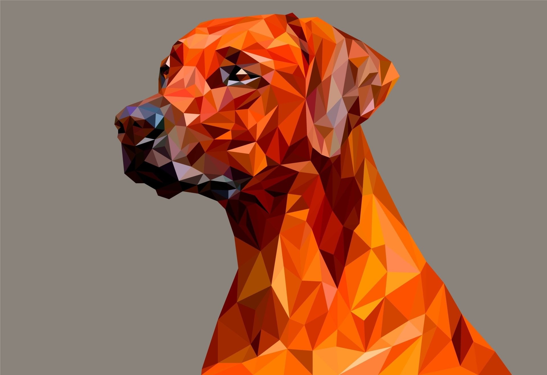 paper, Digital Art, Low Poly, cut out, black background, Polygon, Dog, art and craft, orange color, Facets, close-up, origami, multi colored, creativity, HD Wallpaper