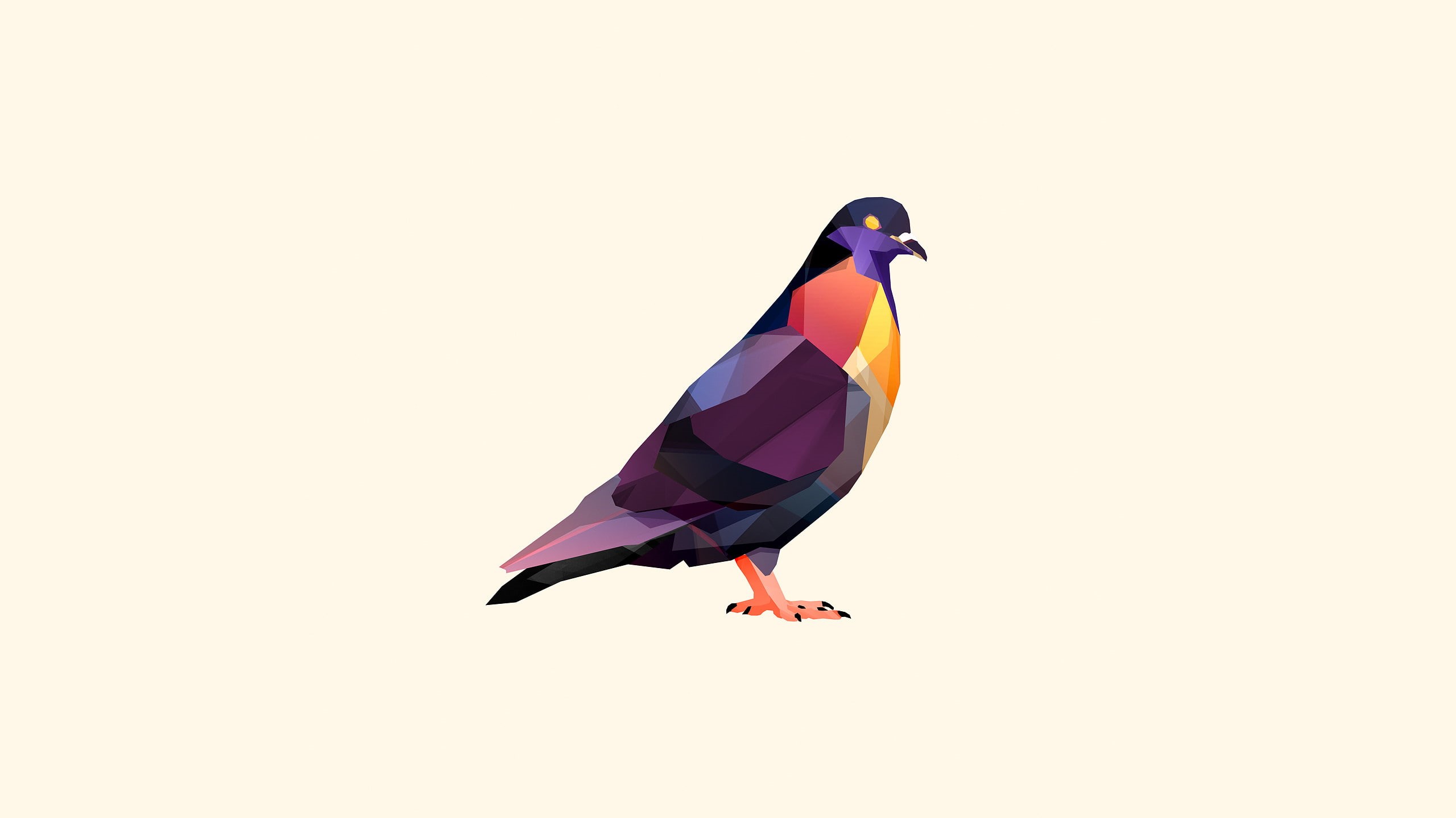 art, bird, pigeon, polygon, white, hd, 2K, digital/artwork, HD Wallpaper