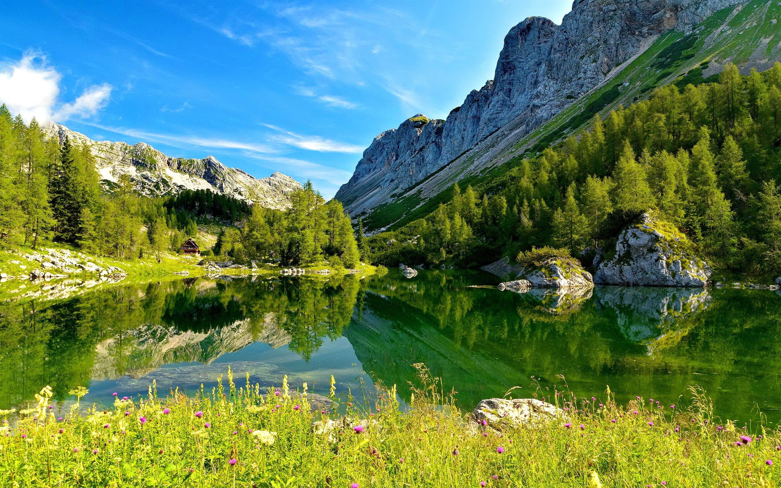 triglav, 2K, stones, lovely, lakeshore, clouds, slovenia, shore, grass, greenery, flowers, lake, nice, beautiful, HD Wallpaper