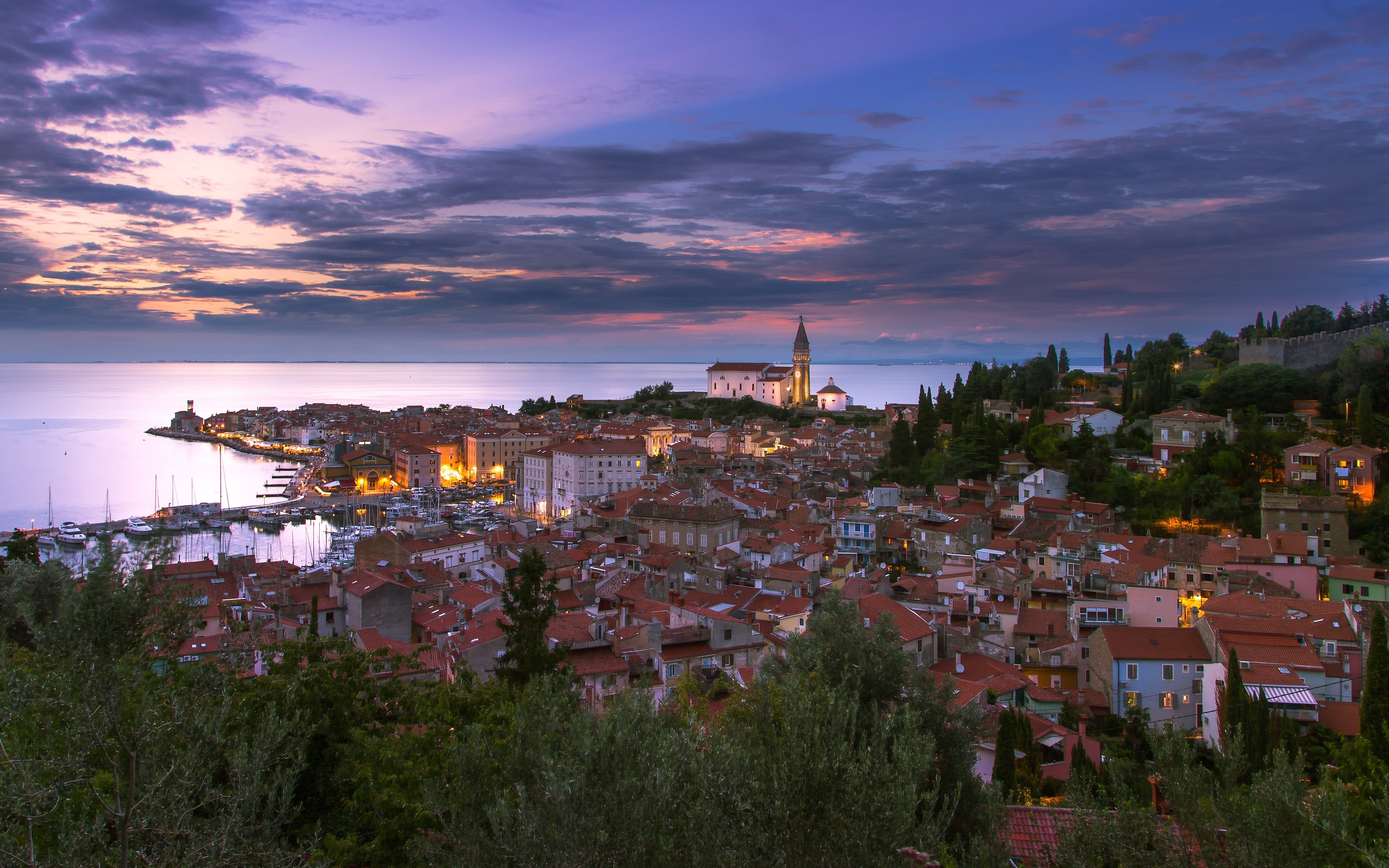 Piran, coast, The Bay of Piran, tree, architecture, 4K, plant, residential district, building, panorama, The Adriatic sea, cityscape, nature, Adriatic Sea, HD Wallpaper