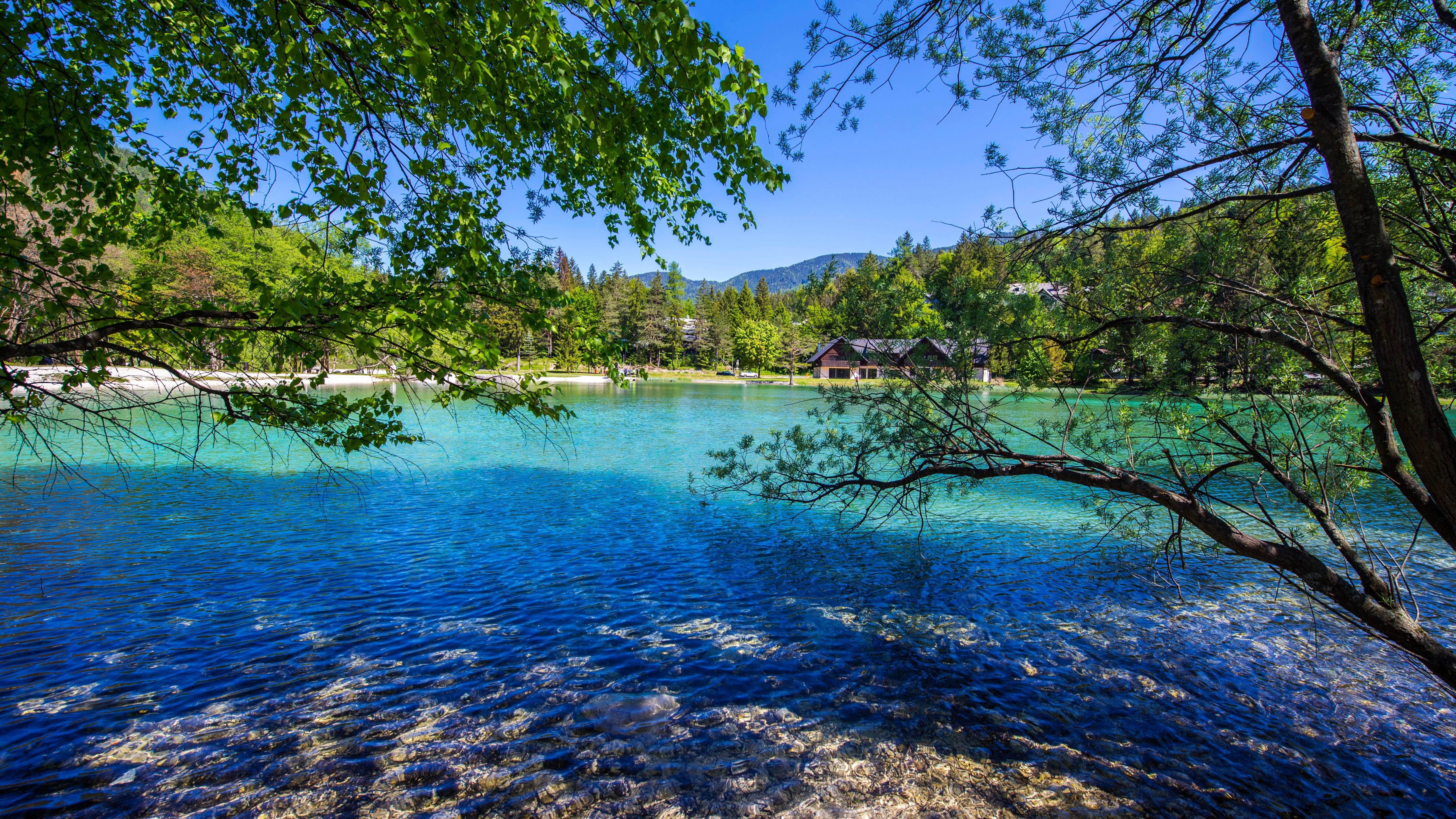 tree, 5K, water, 5k, summer, alps, summertime, nature, mountain lake, julian alps, slovenia, 5k uhd, lake, kranjska gora, sky, blue sky, europe, lake jasna, HD Wallpaper