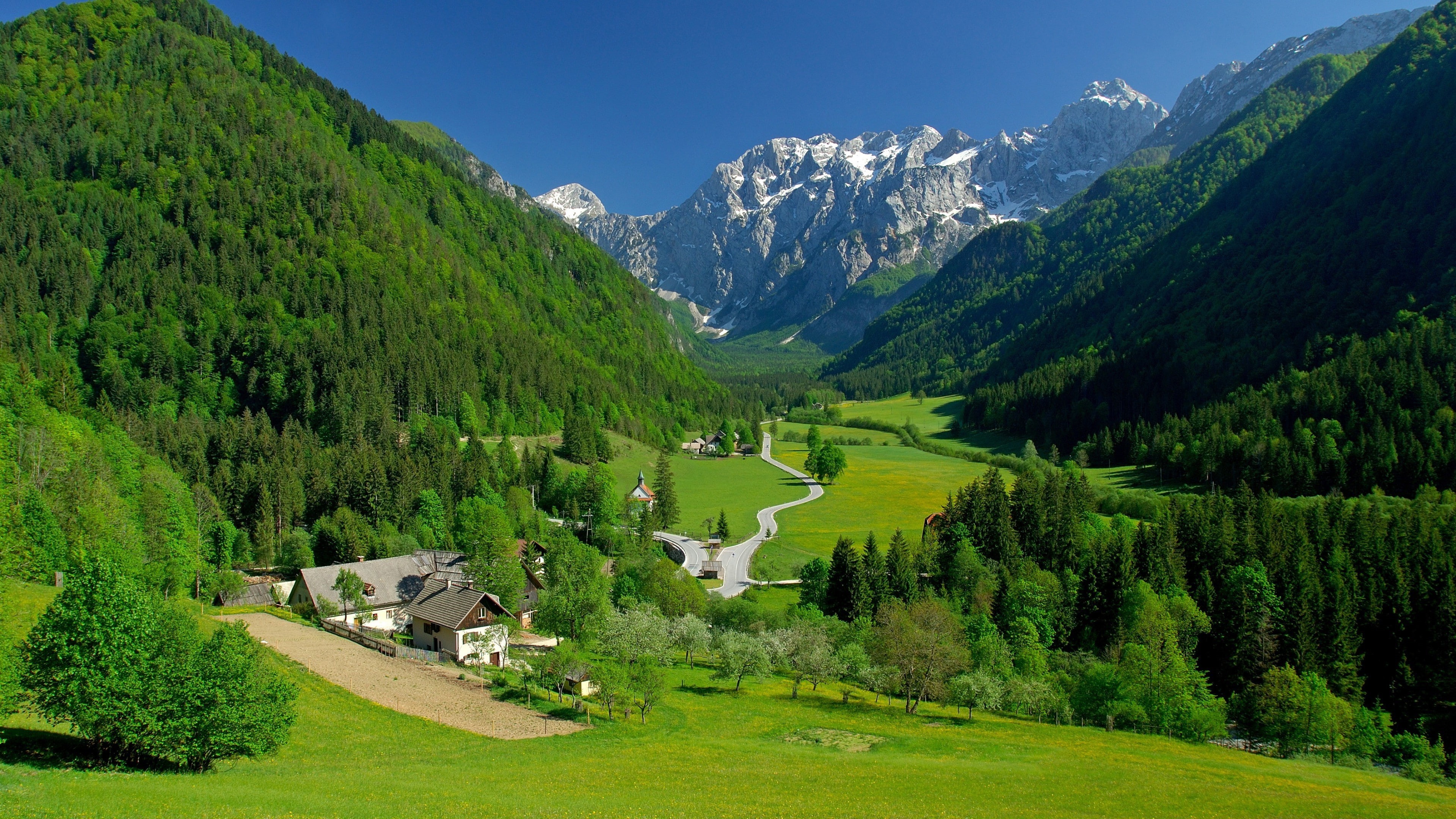 grass, scenics - nature, green color, mountain peak, pine woodland, architecture, landscape village hills mountains trees hairpin turns alps valley slovenia, HD Wallpaper