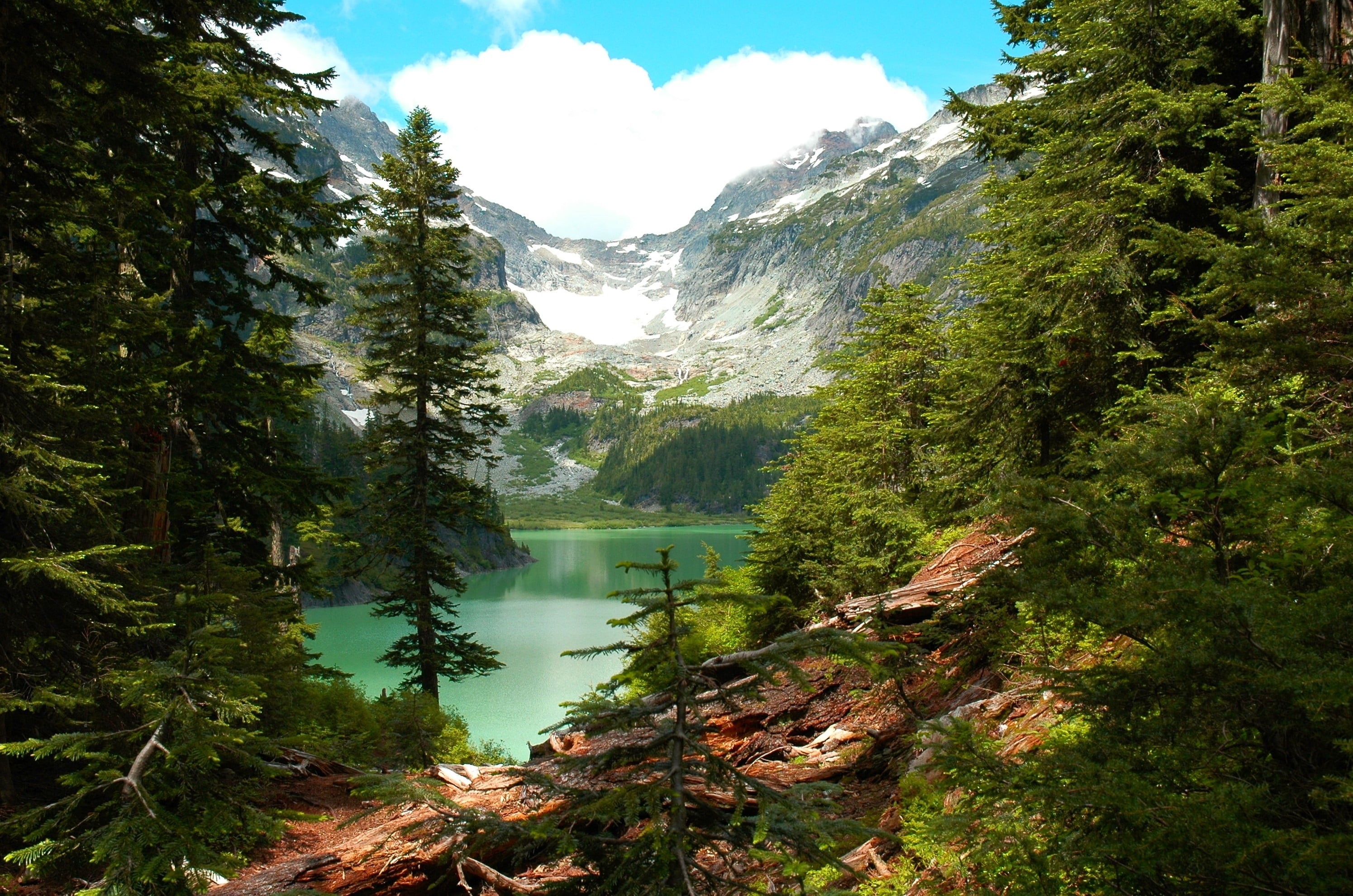 green, plant, tranquility, cloud - sky, growth, tranquil scene, tree, clouds, forest, mountain, no people, day, non-urban scene, land, outdoors, cliff, HD Wallpaper