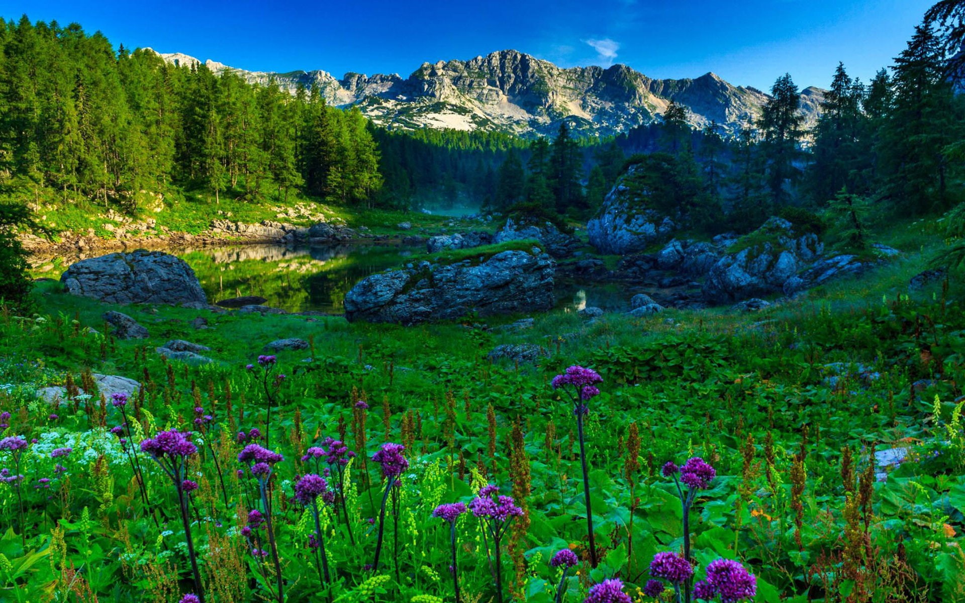 landscape, spring, photos, lake, park, beautiful, slovenia, triglav, 1080P, national, double, HD Wallpaper