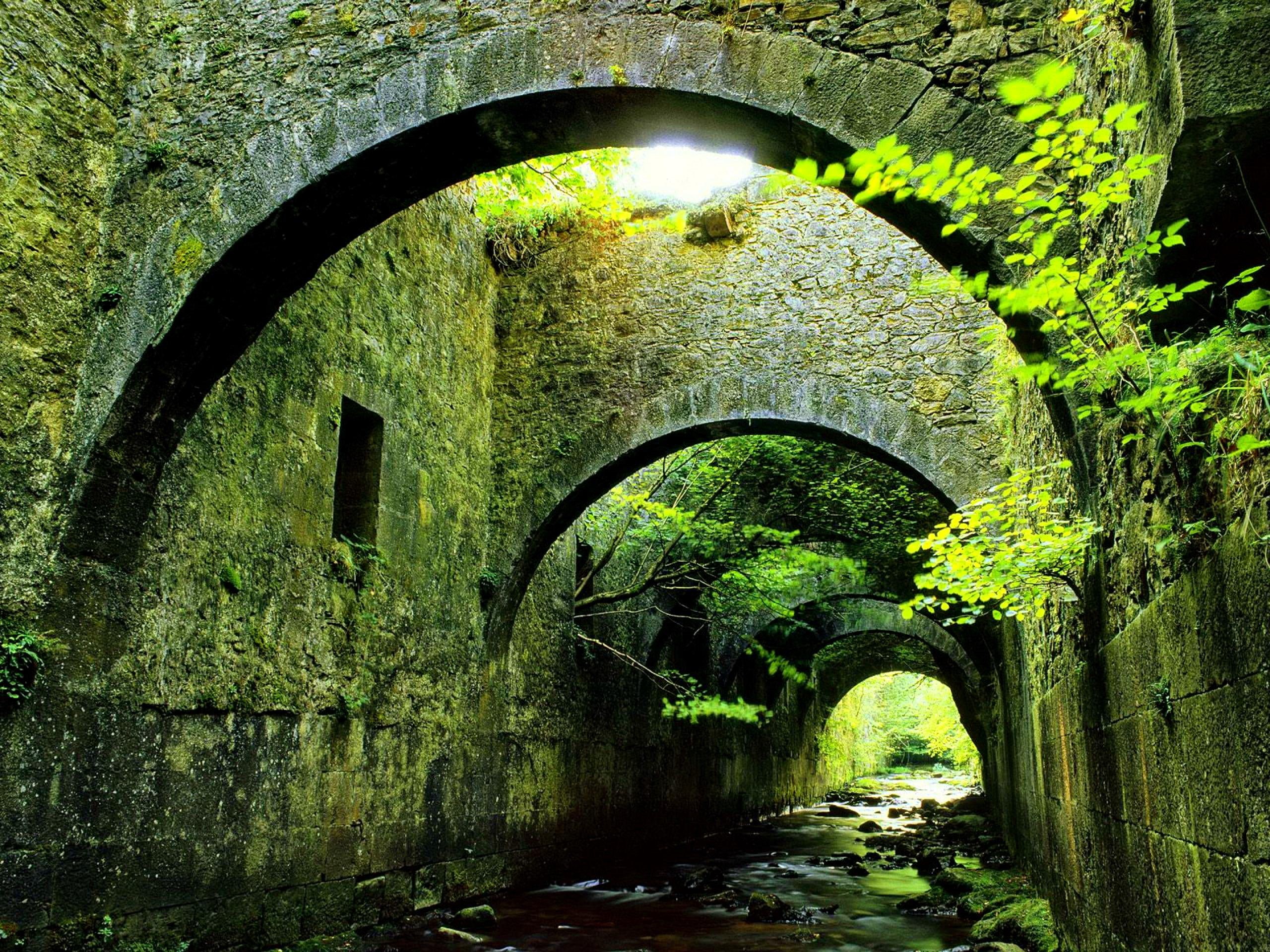 forest, bridge, 2K, stream, reflection, river, green, water, beautiful, lovely, tunnel, nice, peaceful, HD Wallpaper