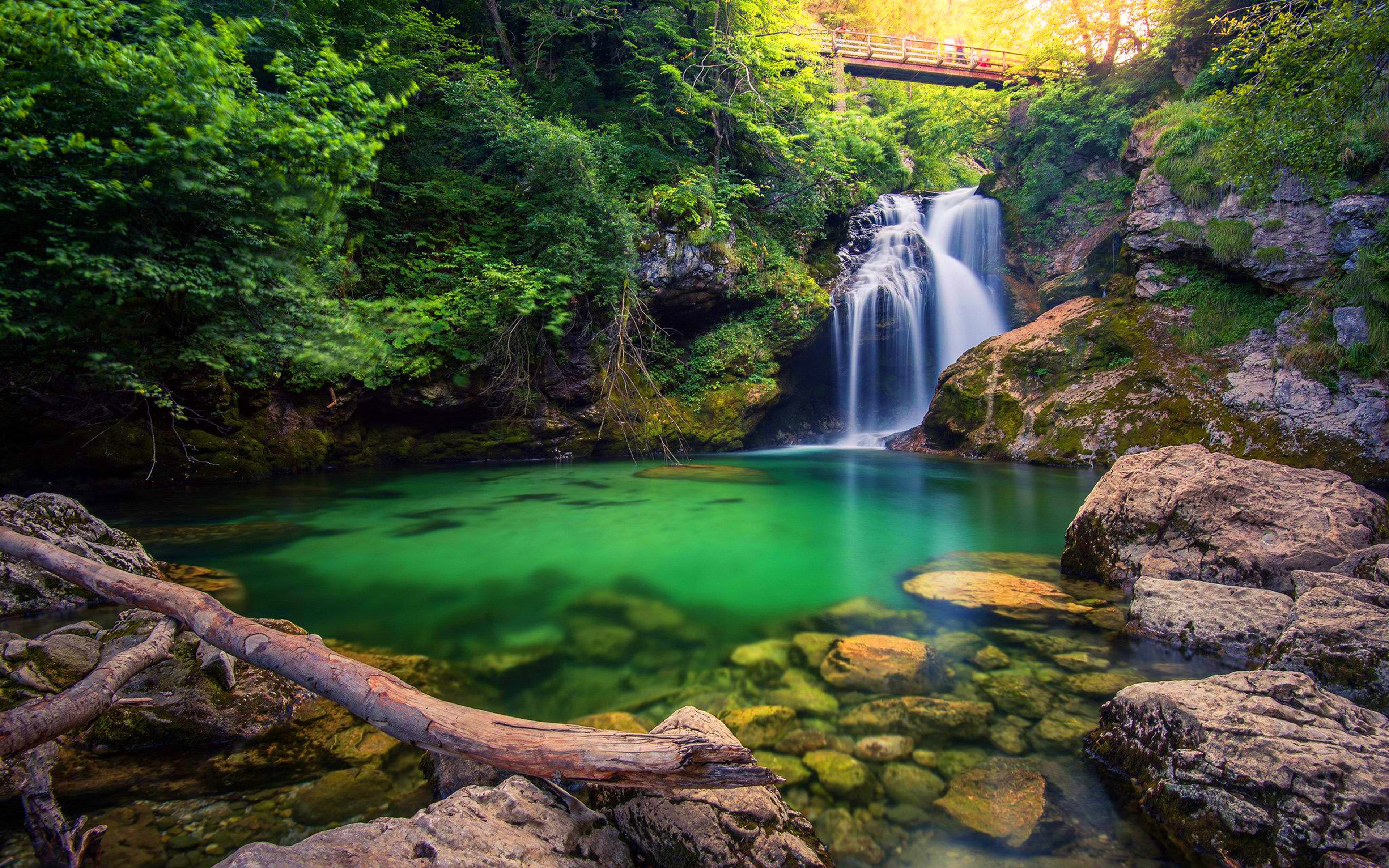 rainforest, landscape, 4K, motion, stream - flowing water, photography, power in nature, nature, purity, north, non-urban scene, klisura, solid, municipalities, HD Wallpaper