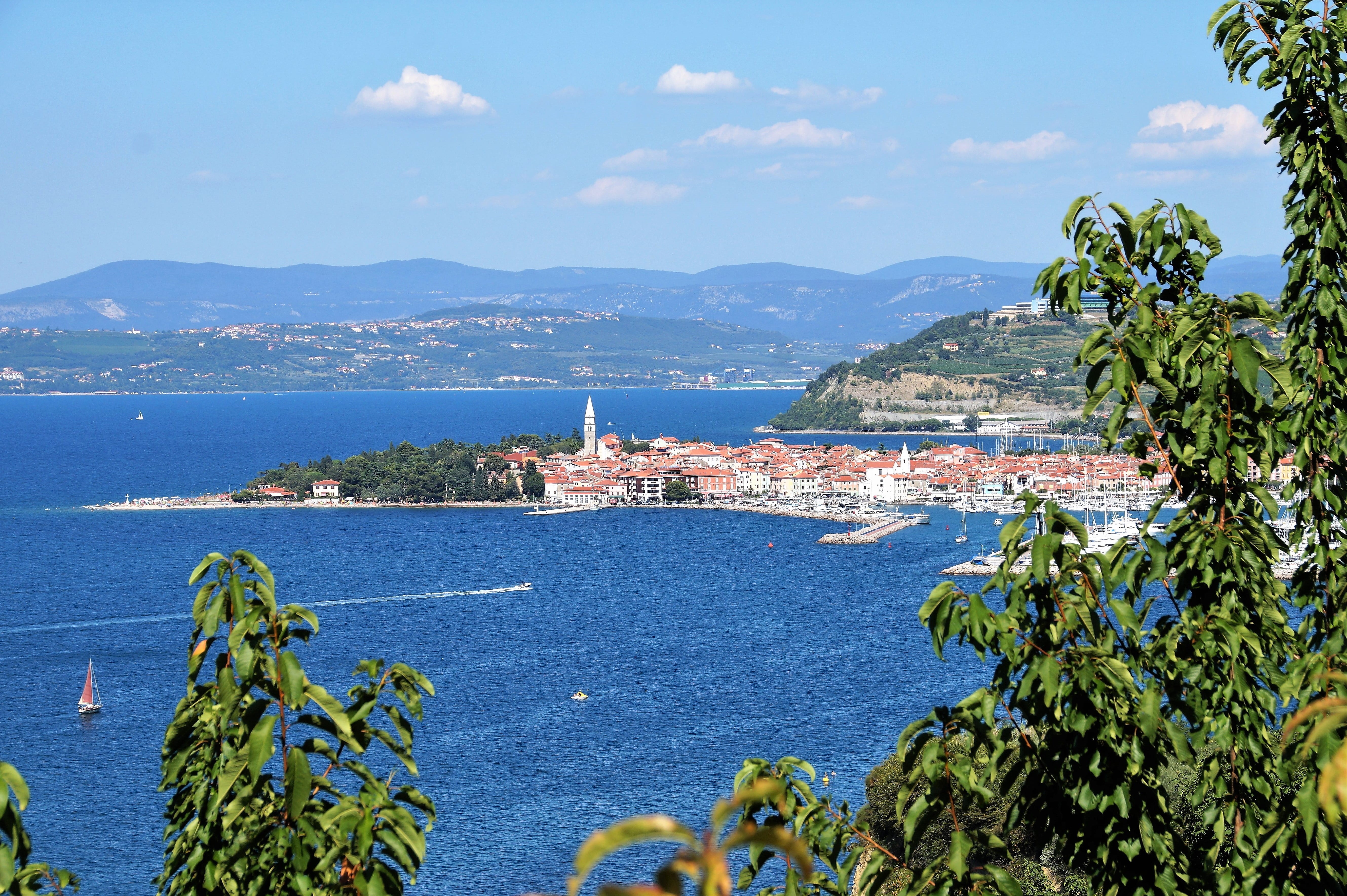 cloud - sky, summer, sky, no people, city, the town of izola, monument, townscape, the historic city of, seaside, mountain, outdoors, tree, blue, tower, HD Wallpaper