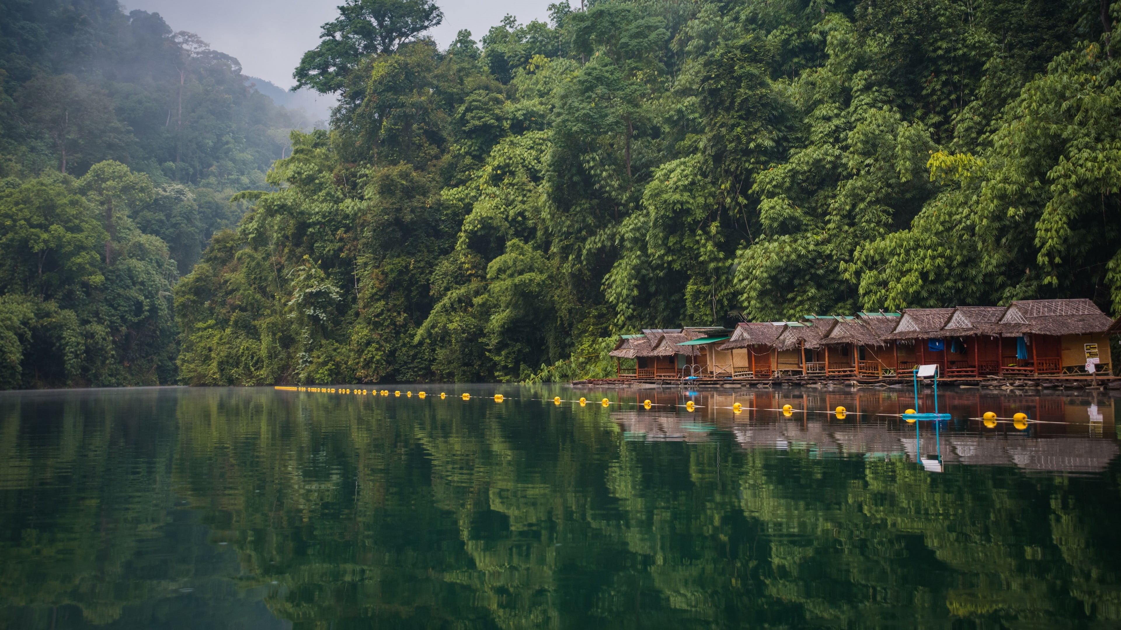 plant, tranquility, no people, day, bungalow, vacation, holiday, scenics - nature, khao sok national park, 4K, waterfront, tree, cheow lan lake, idyllic, HD Wallpaper