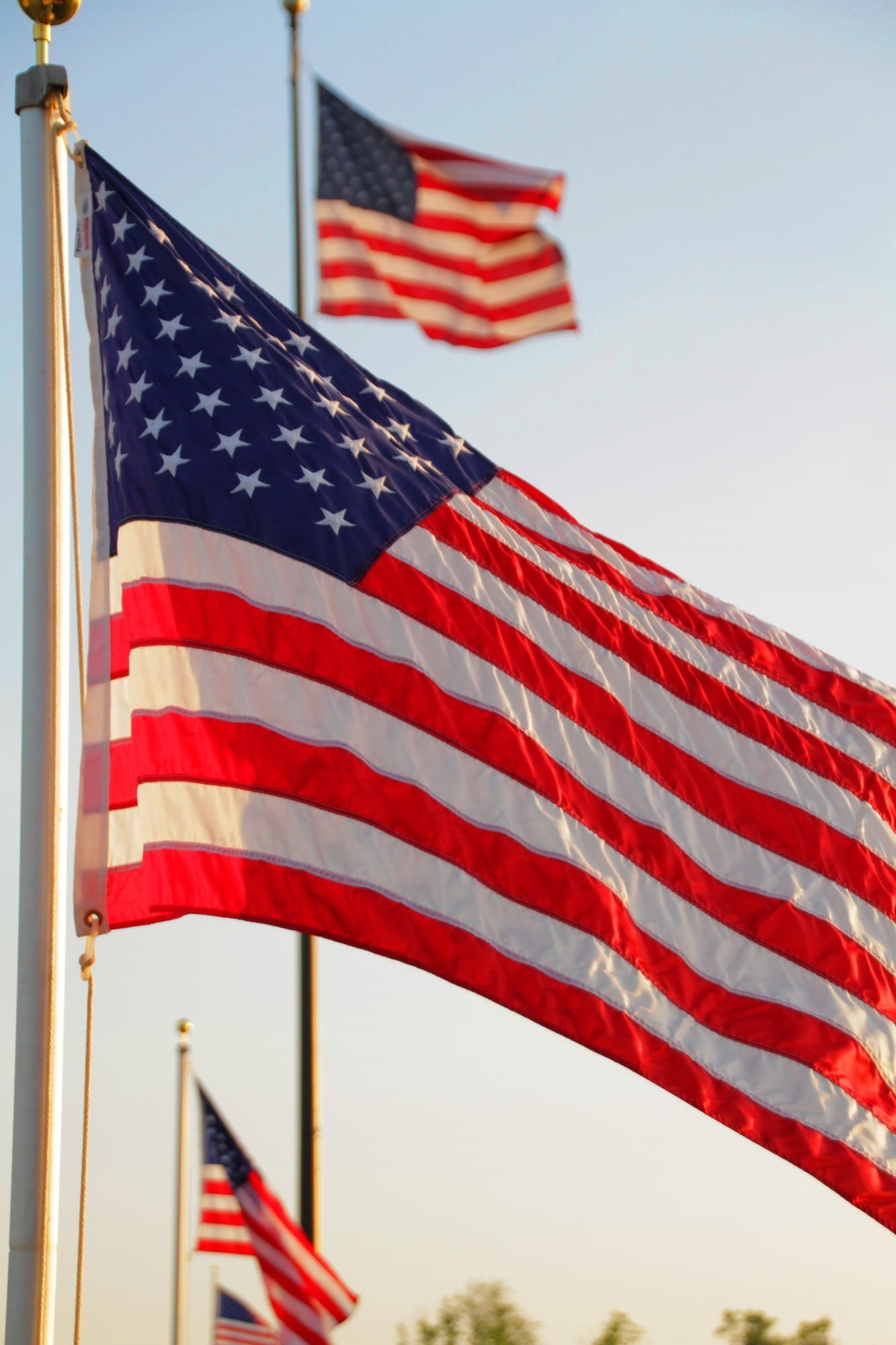 dom, us, emblem, outdoors, wind, banner, united, flags, no people, majestic, 1080P, democratic, election, american flag, pride, nation, clear sky, flying, Phone HD Wallpaper