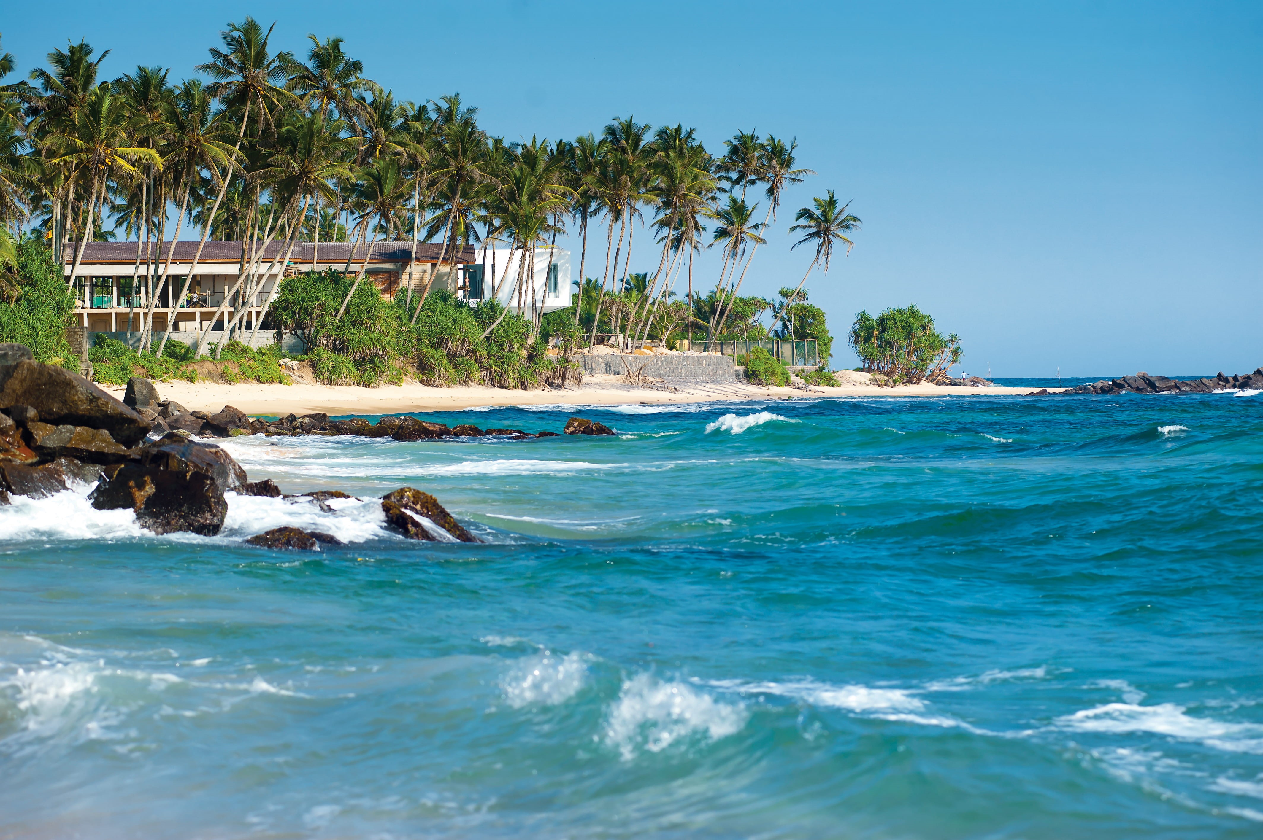 4K, no people, turquoise colored, ocean, palms, land, resort, tropical climate, day, sand, beach, tree, seascape, palm tree, Srilanka, blue, idyllic, outdoors, HD Wallpaper