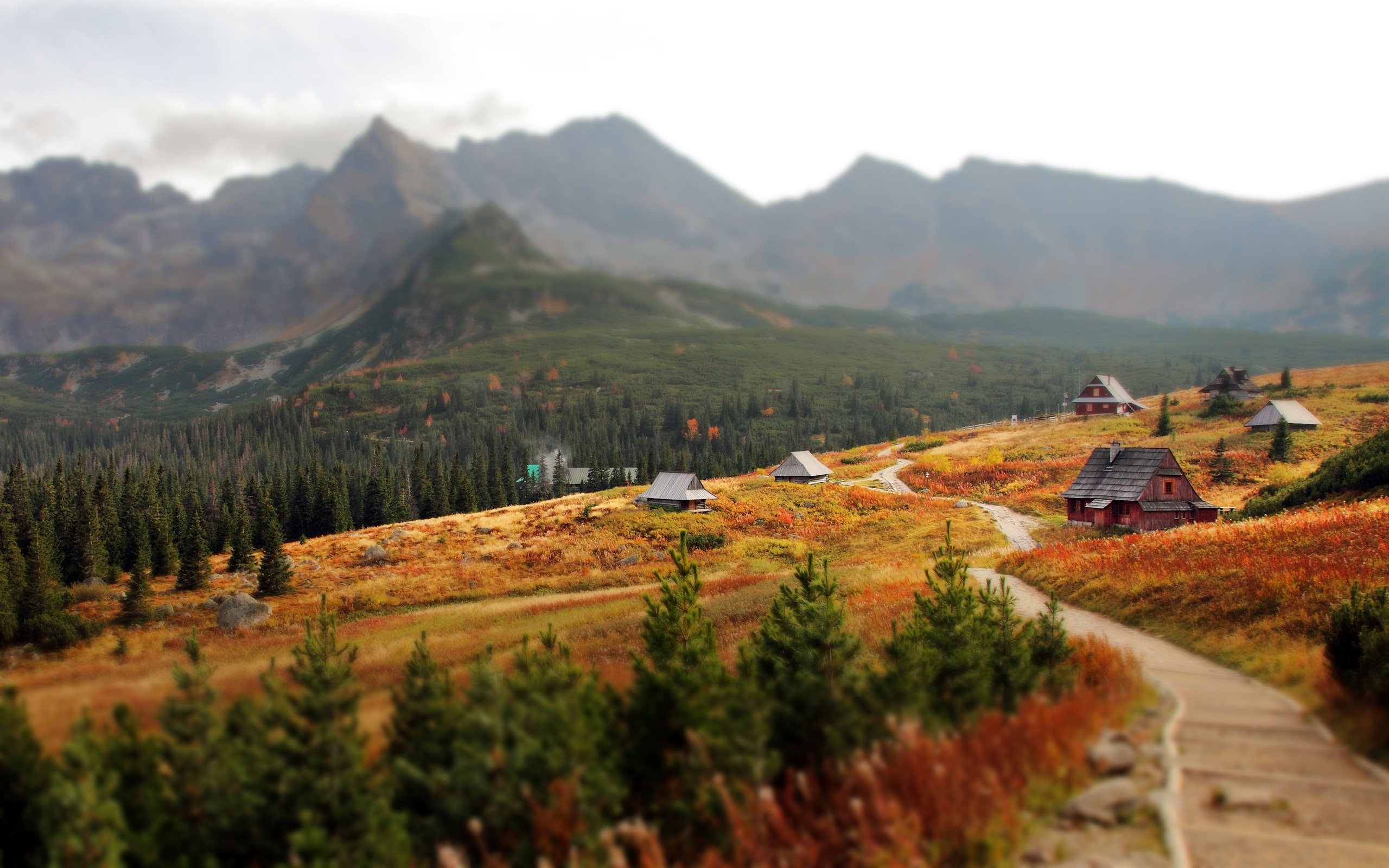 House, 2K, Slovakia, Carpathians, Mountains, Tatra, Autumn, Western, Trees, HD Wallpaper