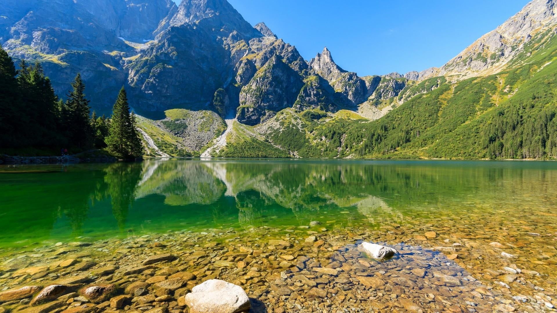 rock - object, tree, day, tranquil scene, non-urban scene, formation, mountain range, no people, plant, reflection, water, solid, slovakia, beauty in nature, HD Wallpaper