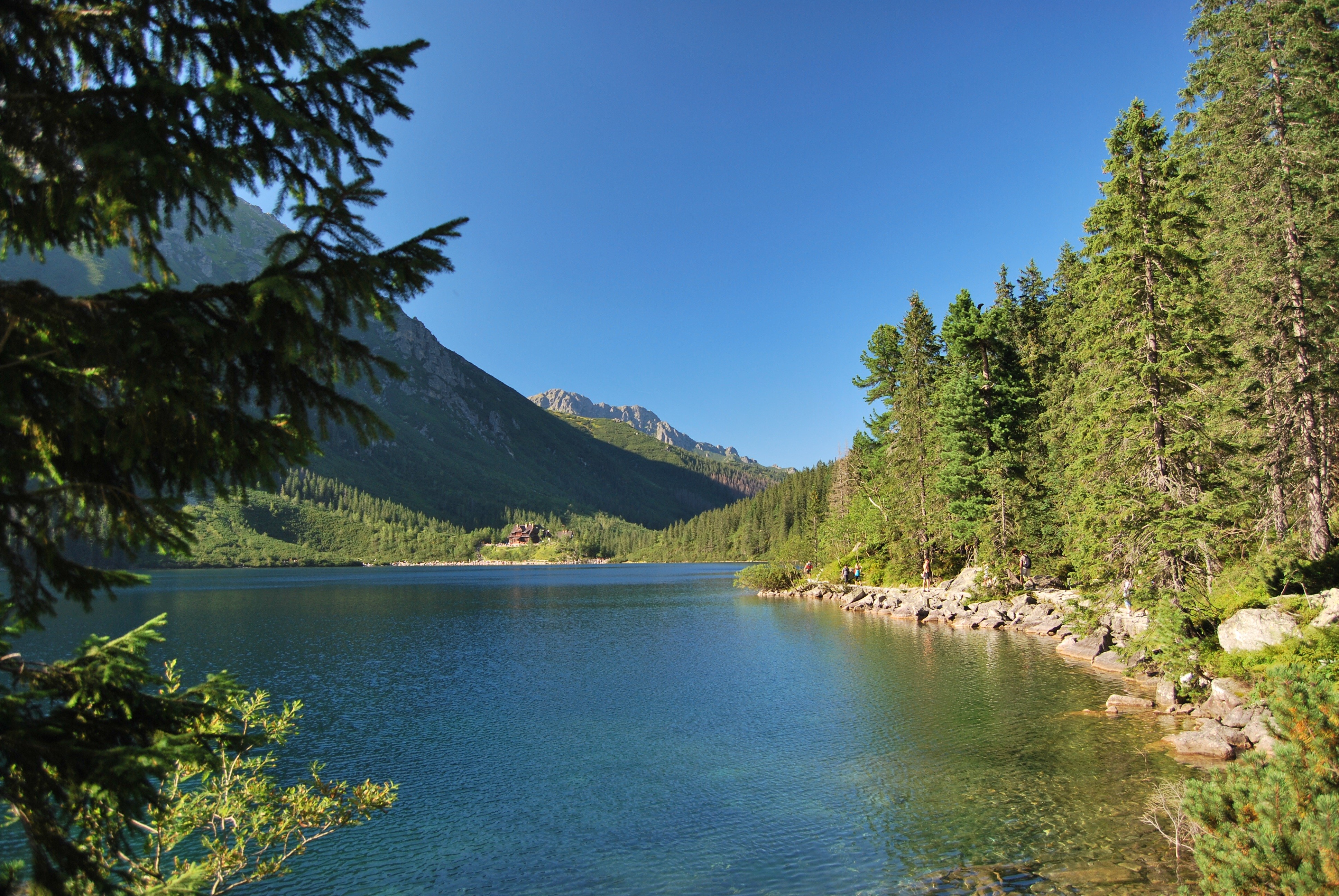 coniferous tree, mountain, the high tatras, clear sky, outdoors, 4K, water, polish tatras, tree, scenics - nature, plant, no people, nature, summer, tatry, HD Wallpaper