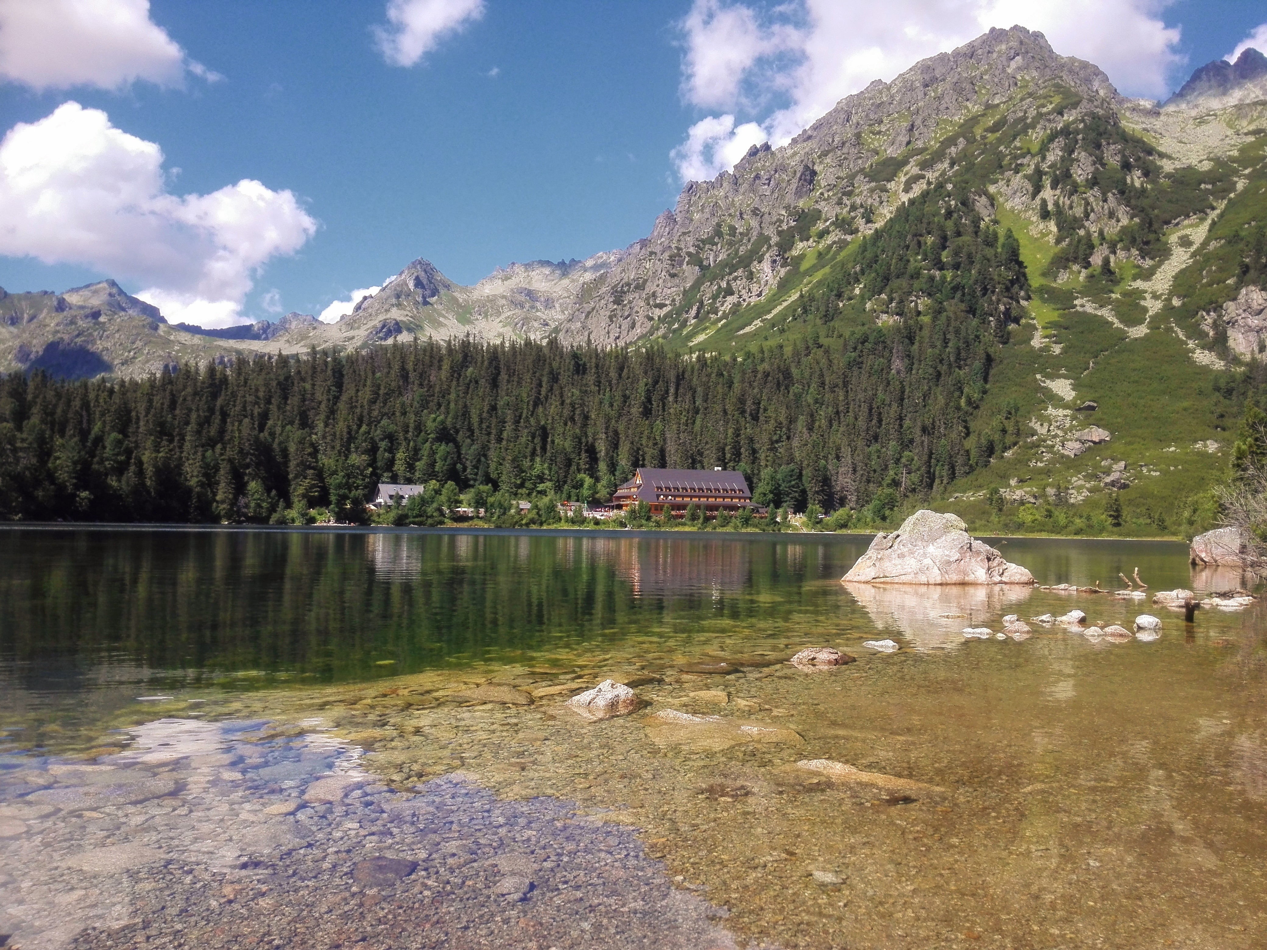 plant, tranquil scene, tree, scenics - nature, water, mountain range, summer, travel, lake, non-urban scene, slovakia, mountains, pleso, rock, reflection, HD Wallpaper