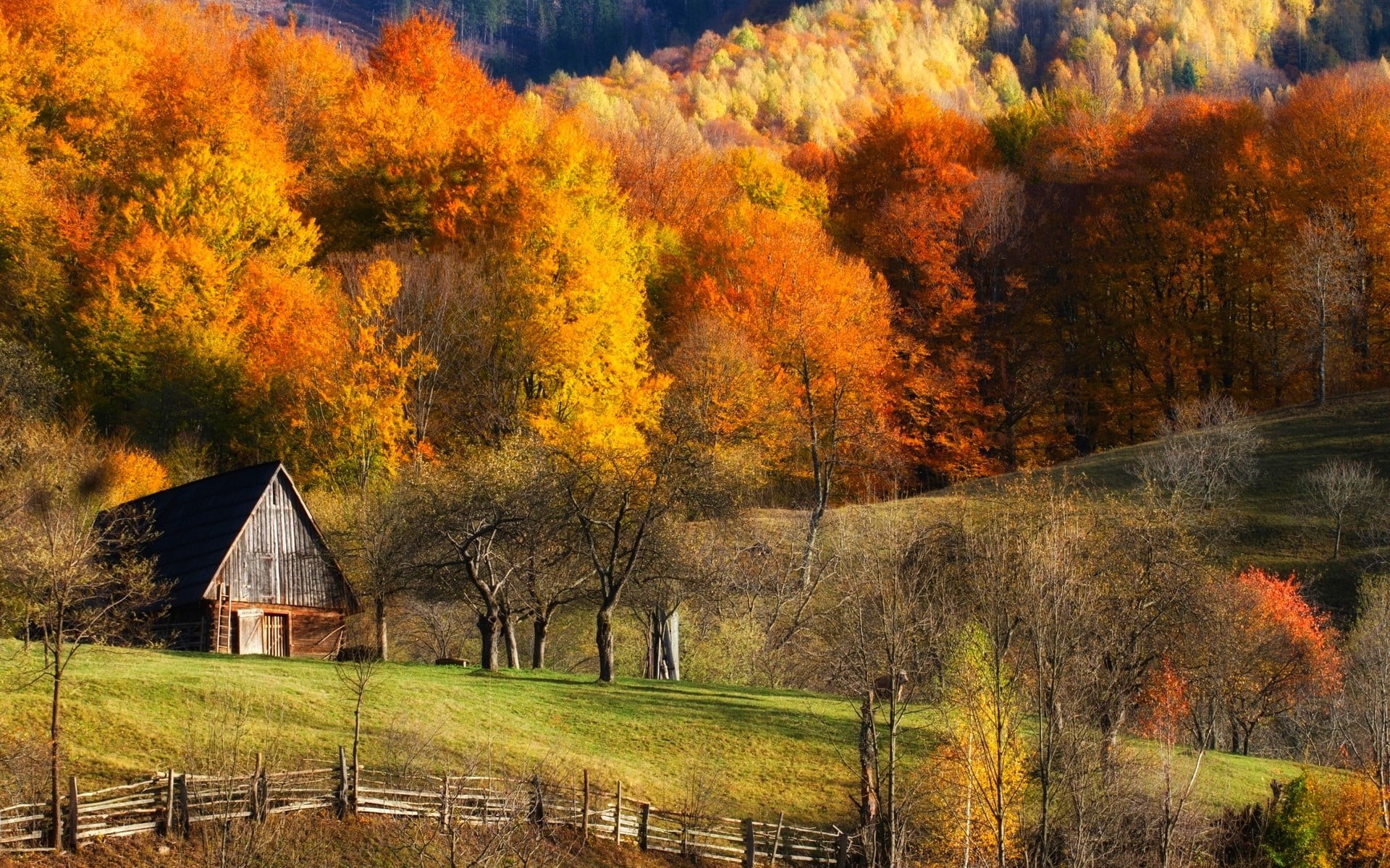 architecture, hills, no people, beauty in nature, tranquility, autumn collection, change, barns, fence, fall, 1080P, scenics - nature, land, field, colorful, HD Wallpaper
