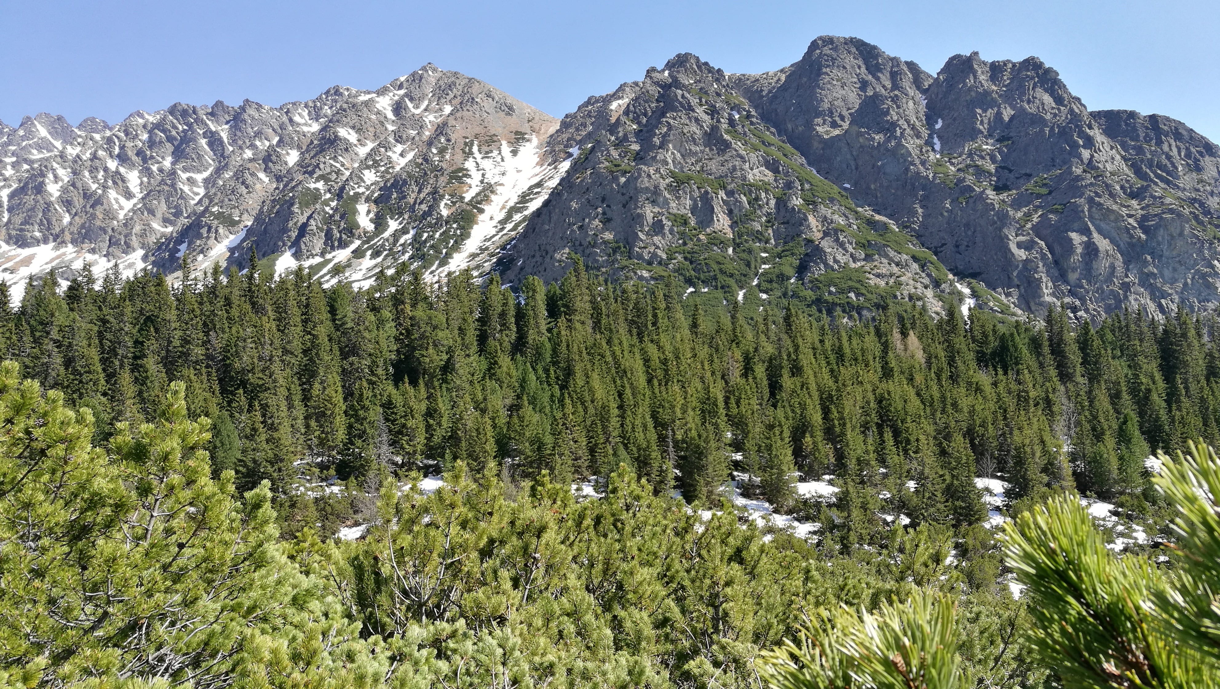slovakia, formation, land, environment, tree, pine tree, mengusovská dolina, coniferous tree, sky, vysoké tatry, landscape, plant, no people, scenics - nature, HD Wallpaper