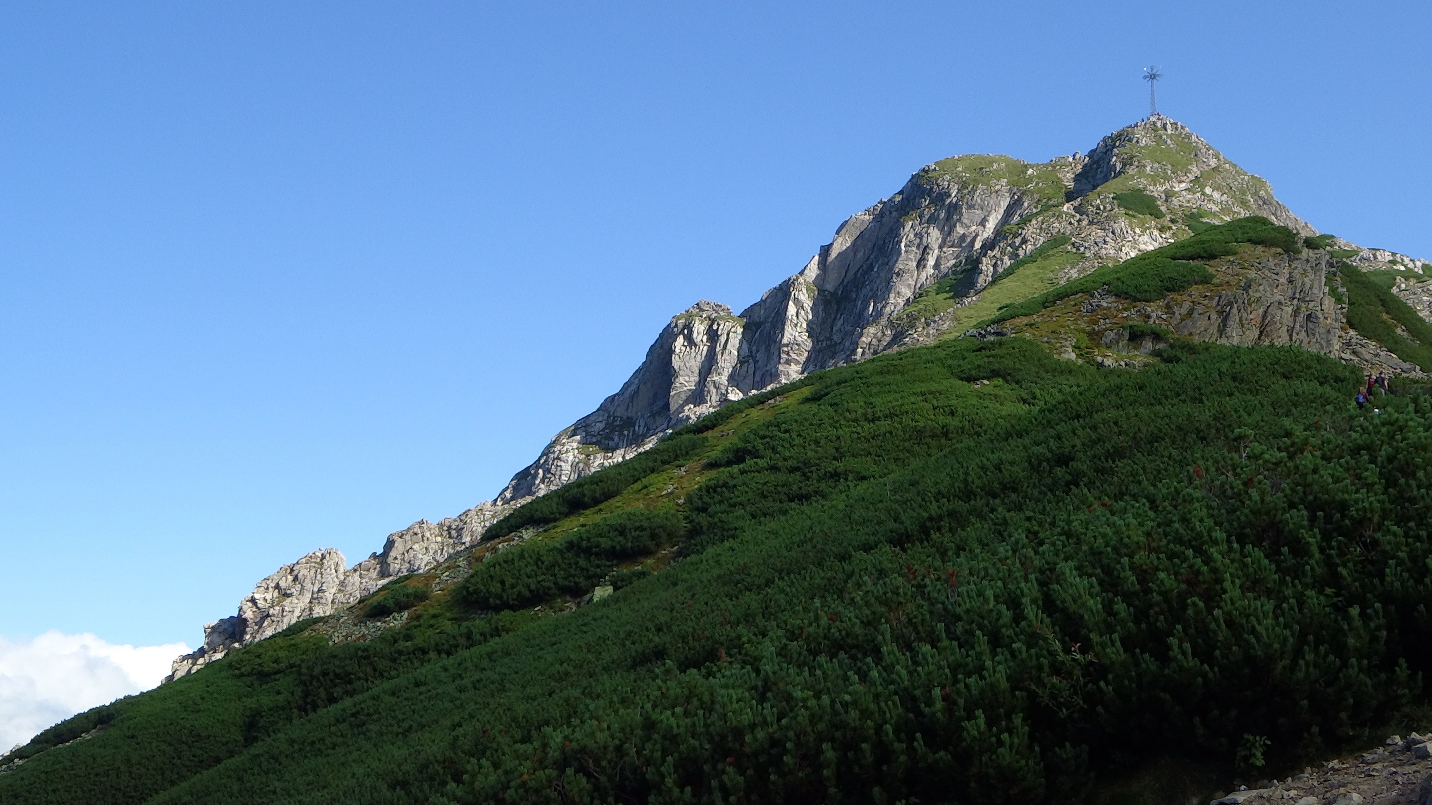 mountains, tree, mountain range, giewont, blue, land, clear sky, environment, tatry, travel destinations, mountain peak, low angle view, poland, sky, rock - object, HD Wallpaper