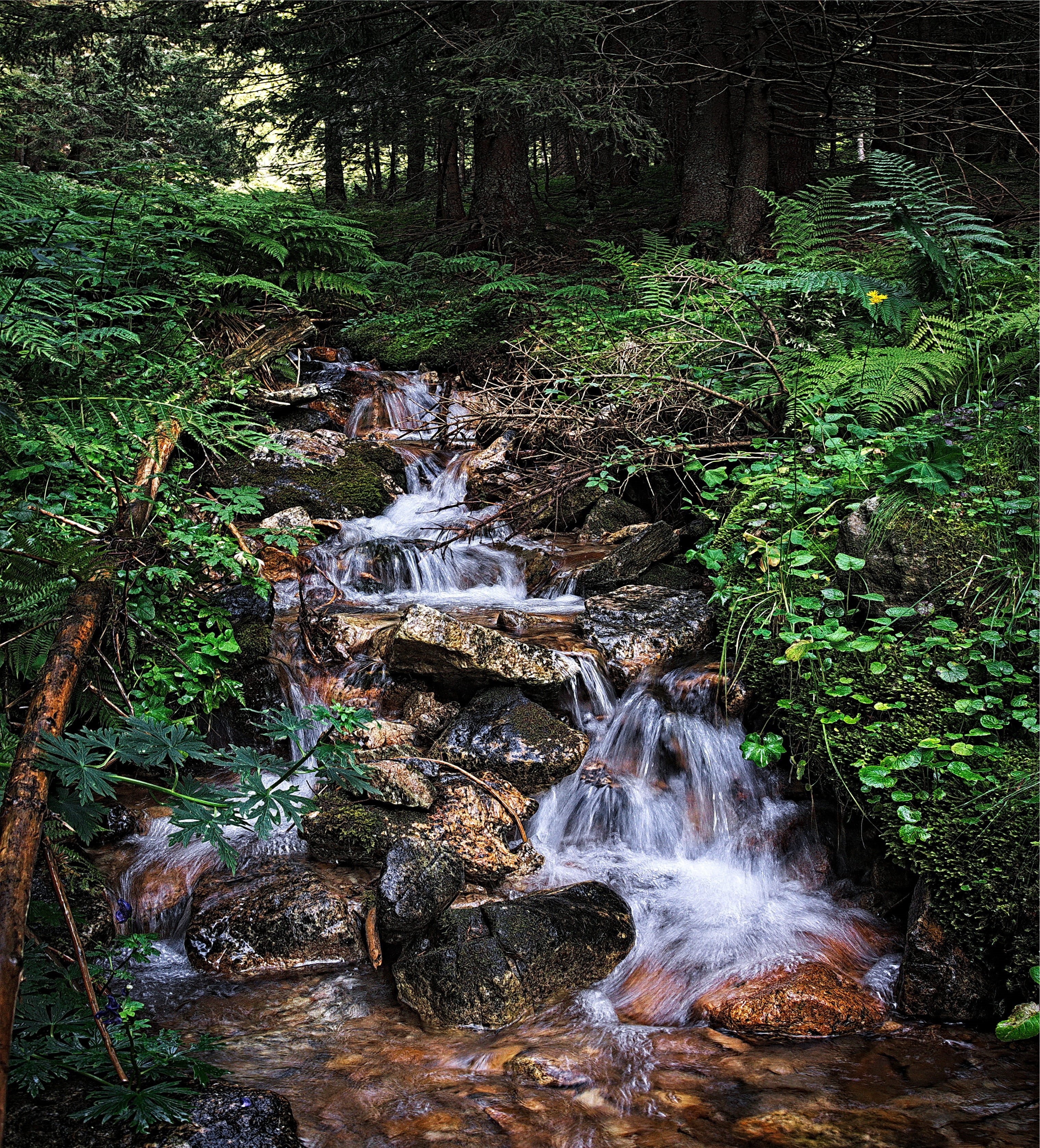 solid, forest, blurred motion, waterfalls, polish tatras, tranquility, long exposure, the stones, mountains, land, waterfall, no people, landscape, water, Phone HD Wallpaper