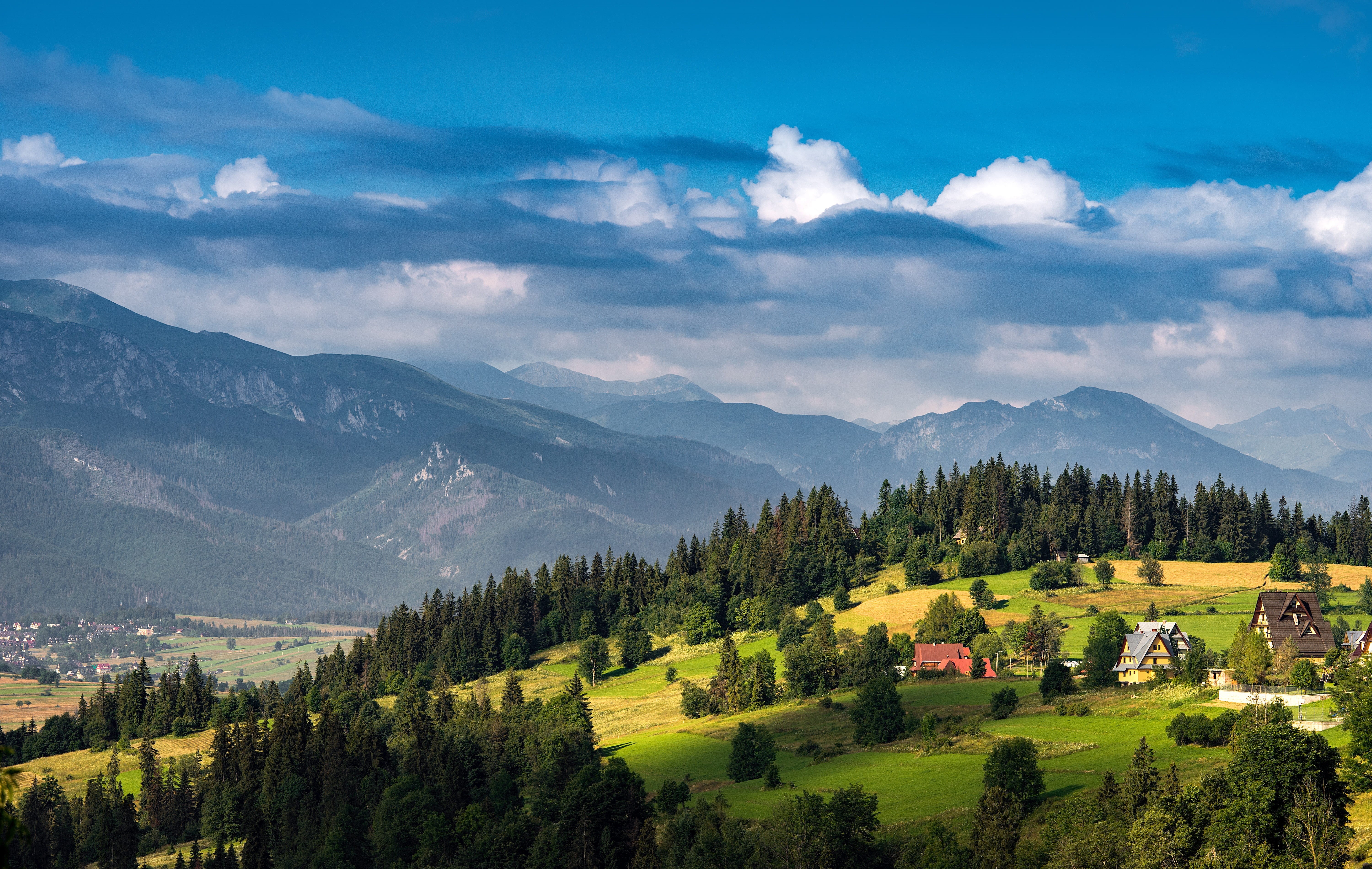 light, mountain range, tranquil scene, zakopande, pine tree, mountain, plant, countryside, field, land, vacation, outdoors, woodland, summer, blue, green, HD Wallpaper
