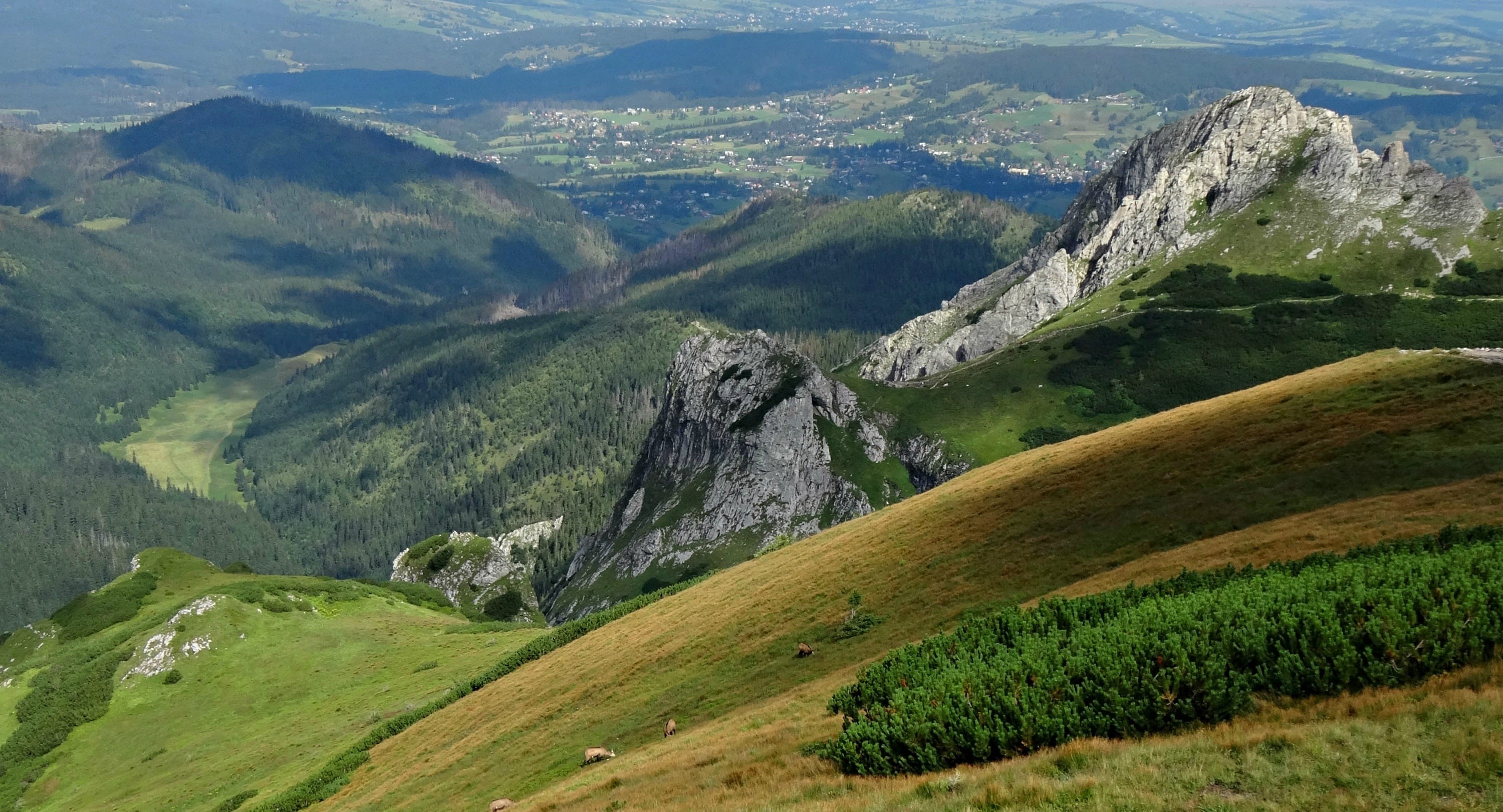 scenics - nature, the high tatras, mountain ridge, no People, europe, land, high angle view, trail in the red peaks of, green Color, tranquil scene, non-Urban Scene, HD Wallpaper