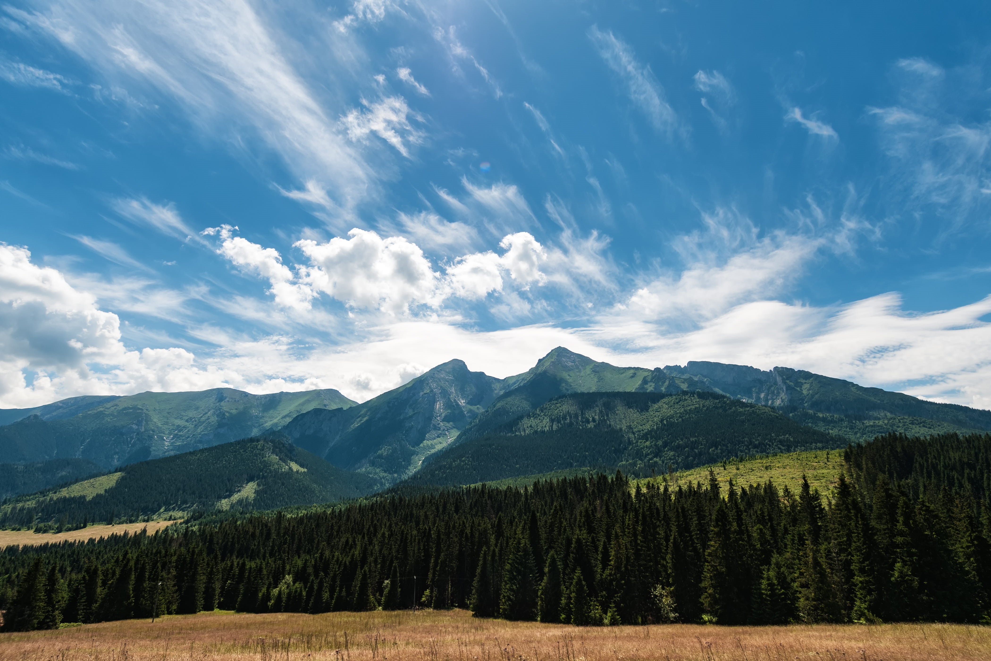 land, Slovakia, clouds, non-urban scene, mountain, Poland, environment, pine tree, high, 4K, scenics, day, tree, coniferous tree, landscape, green color, HD Wallpaper