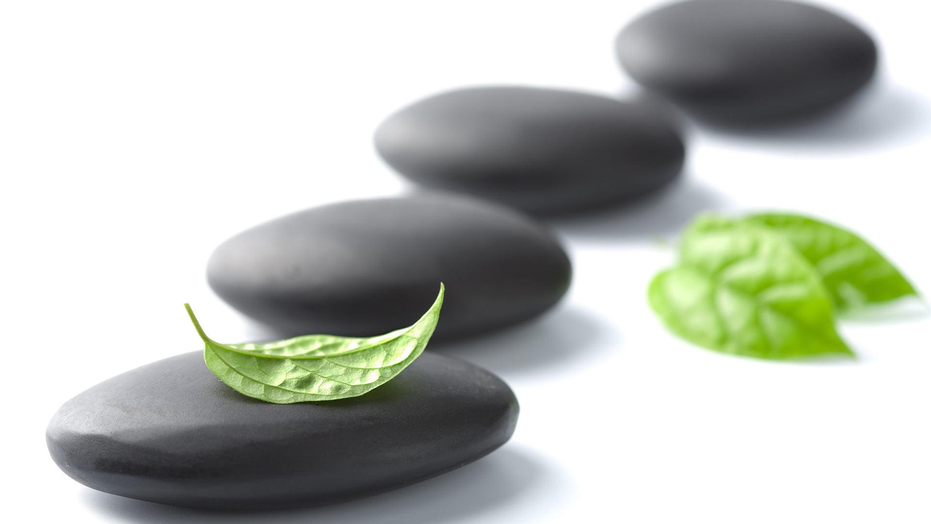 rock, stones, healthy eating, black color, harmony, bamboo, natural, studio shot, japan, relaxation, mint leaf - culinary, cut out, green color, freshness, HD Wallpaper