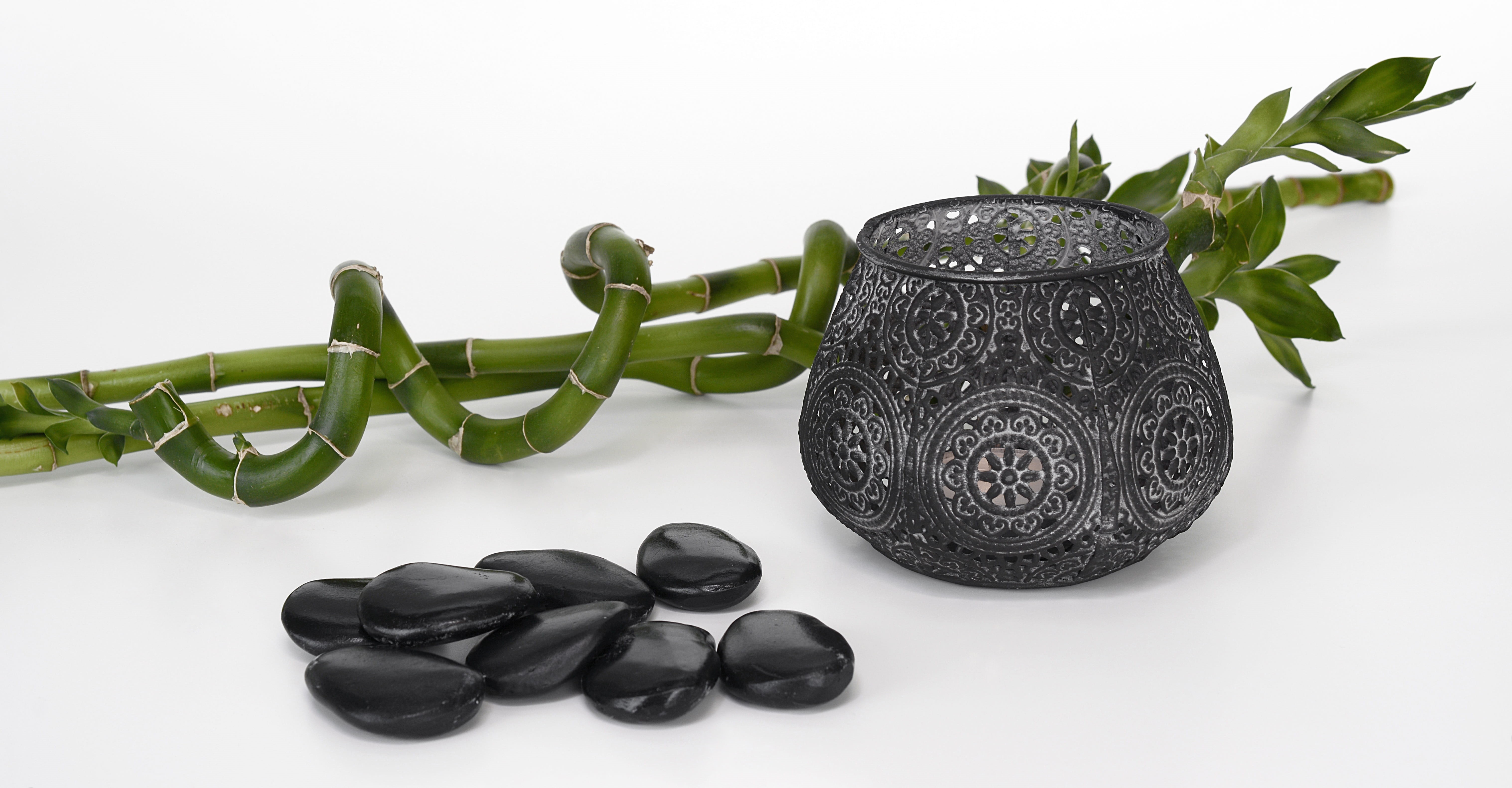 wellness, heiss, vase, branch, studio shot, still life, leaf, nature, sprituell, massage, food, group of objects, luck, art and craft, frisch, relaxation, HD Wallpaper