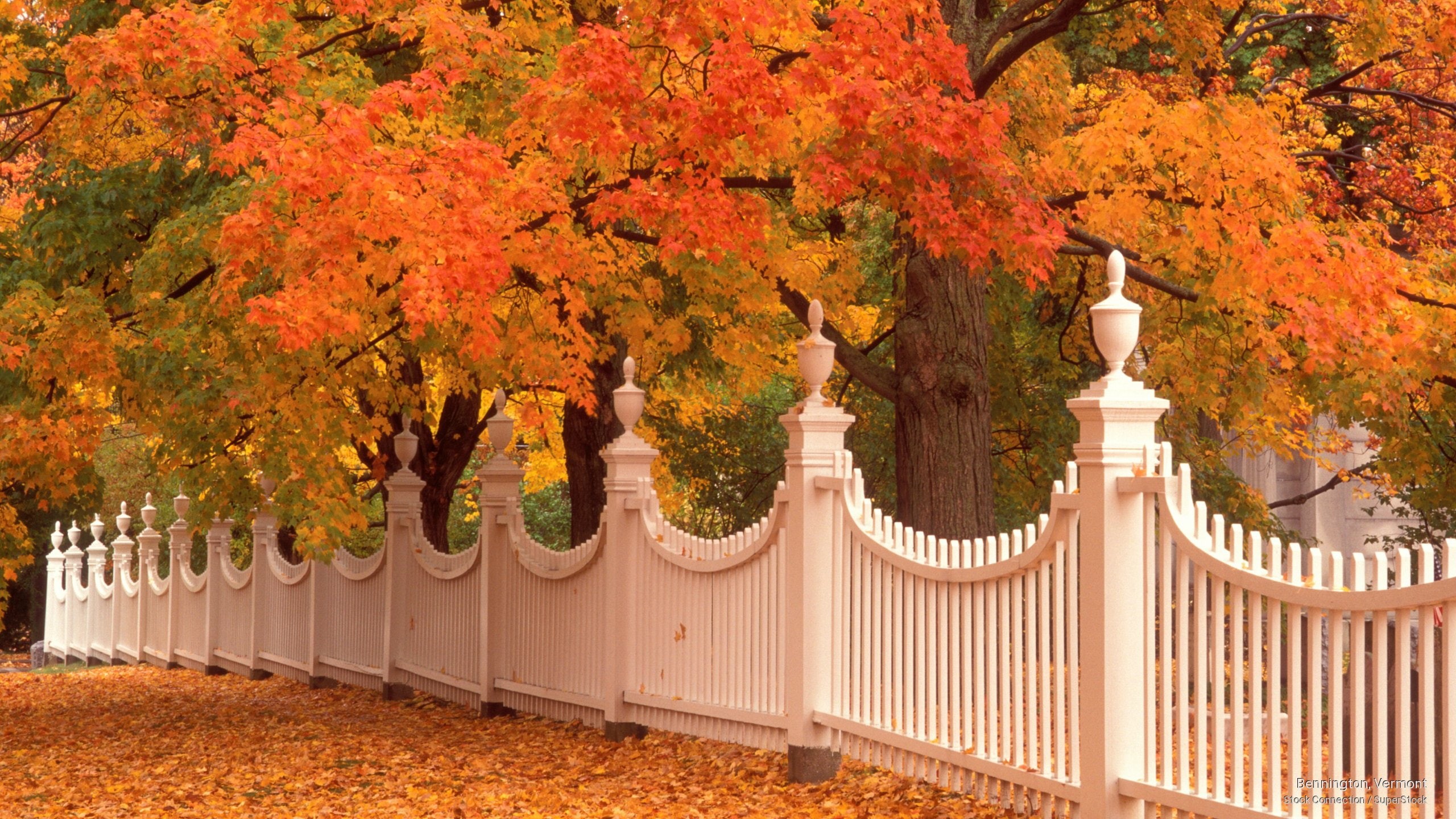 Fall, 2K, bennington, vermont, HD Wallpaper