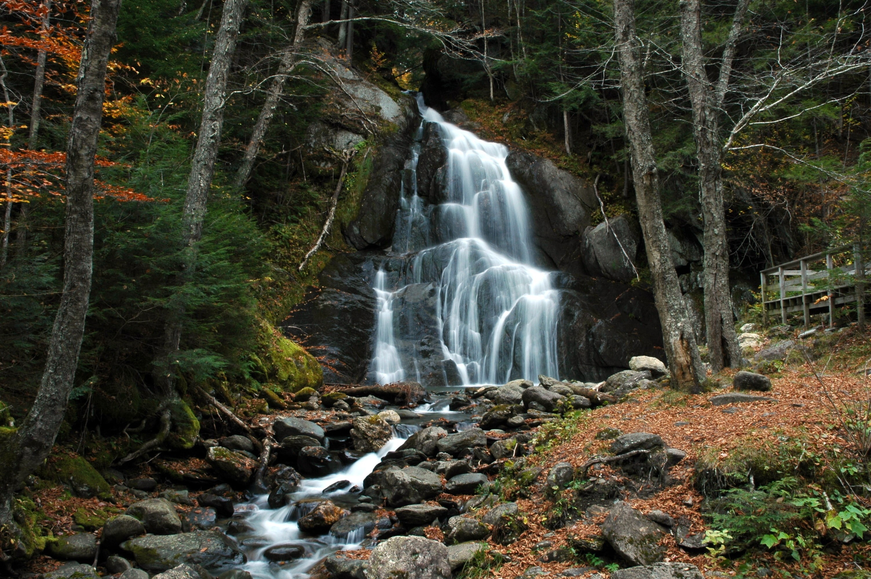 2K, Vermont, trees, nature, forest, HD Wallpaper