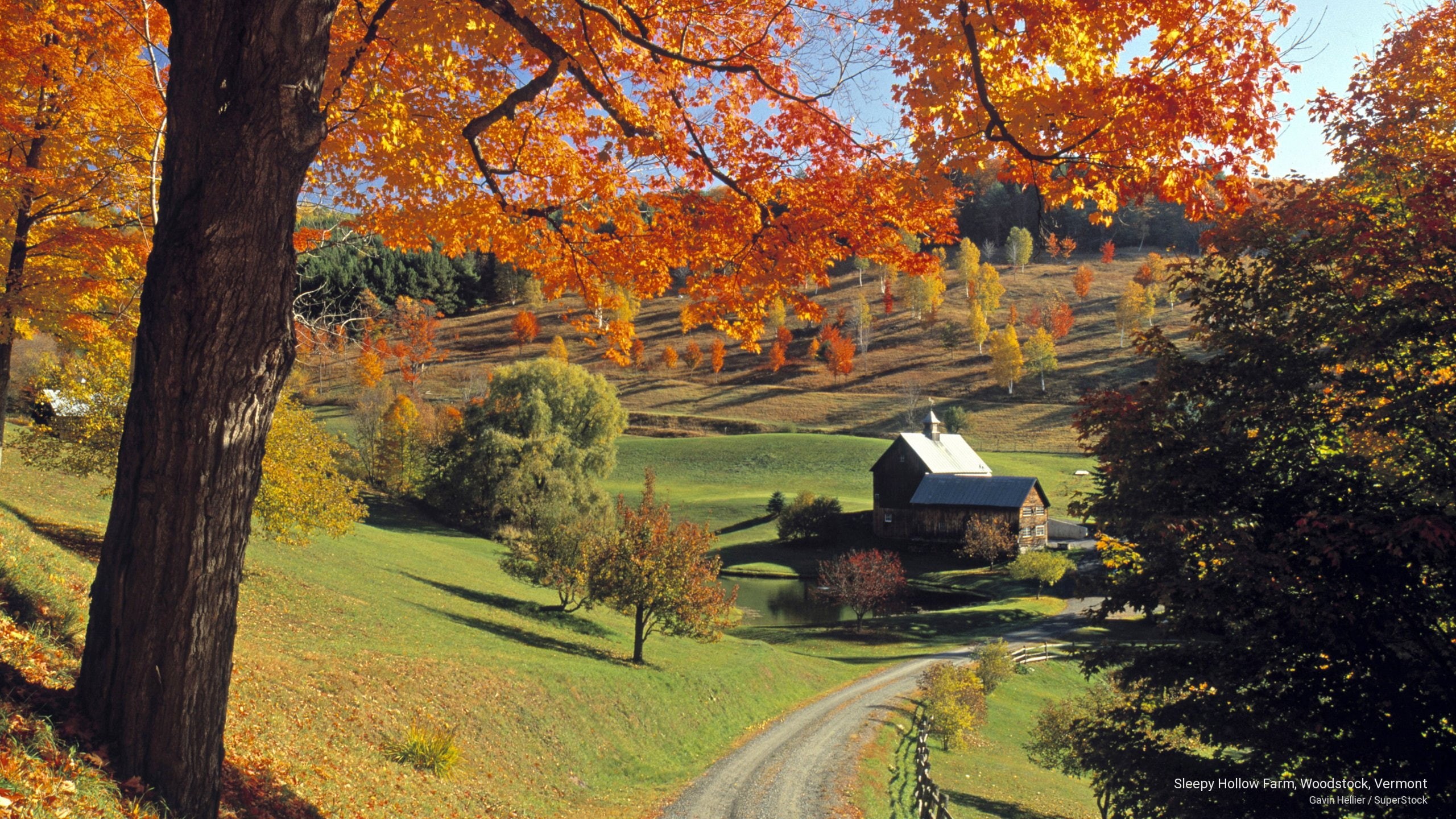vermont, sleepy, hollow, Fall, woodstock, 2K, farm, HD Wallpaper