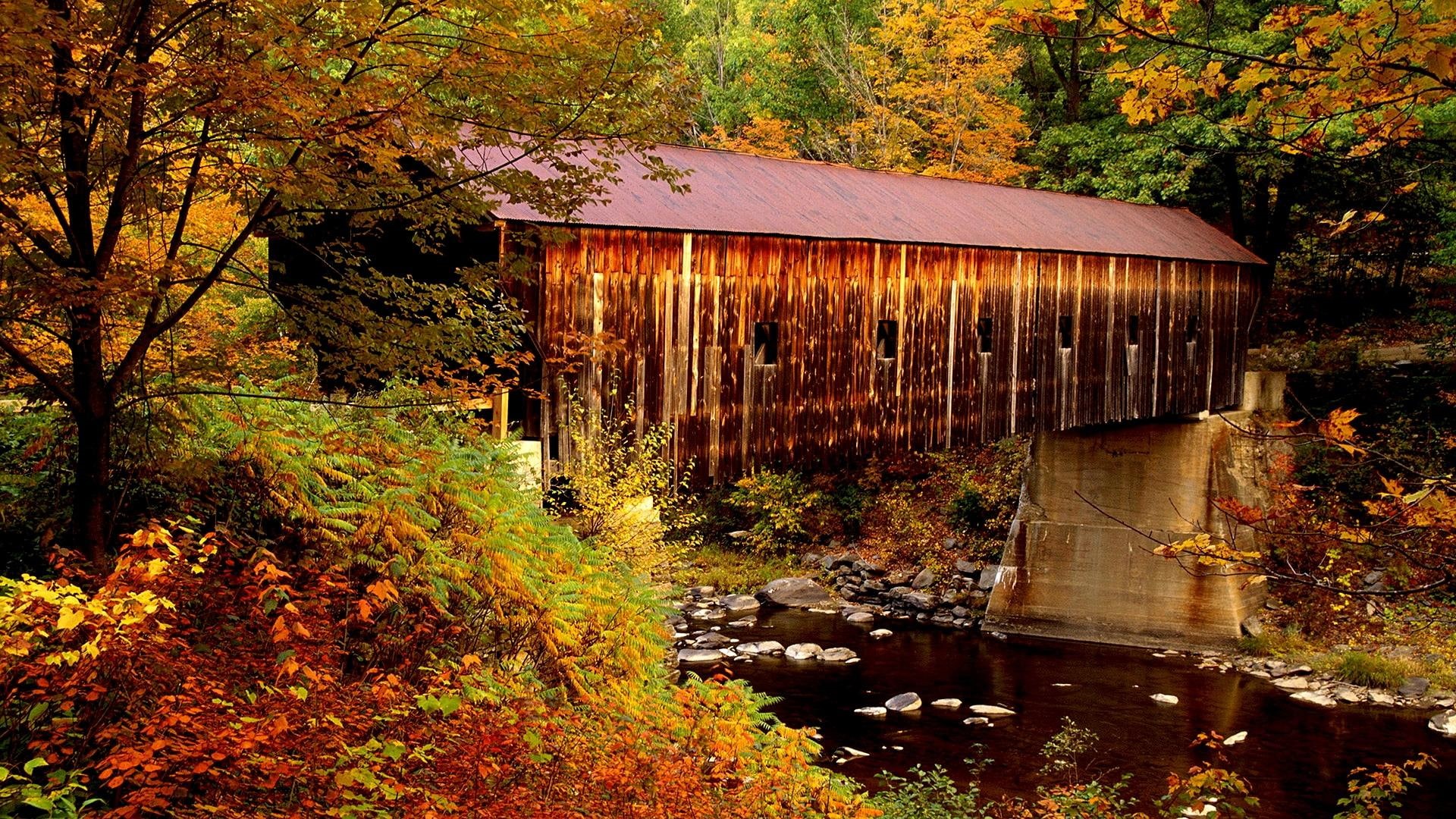 bridge, natural world, seasons, water, rural scene, tree, covered bridge, covered, stream, landforms, 1080P, vermont, HD Wallpaper
