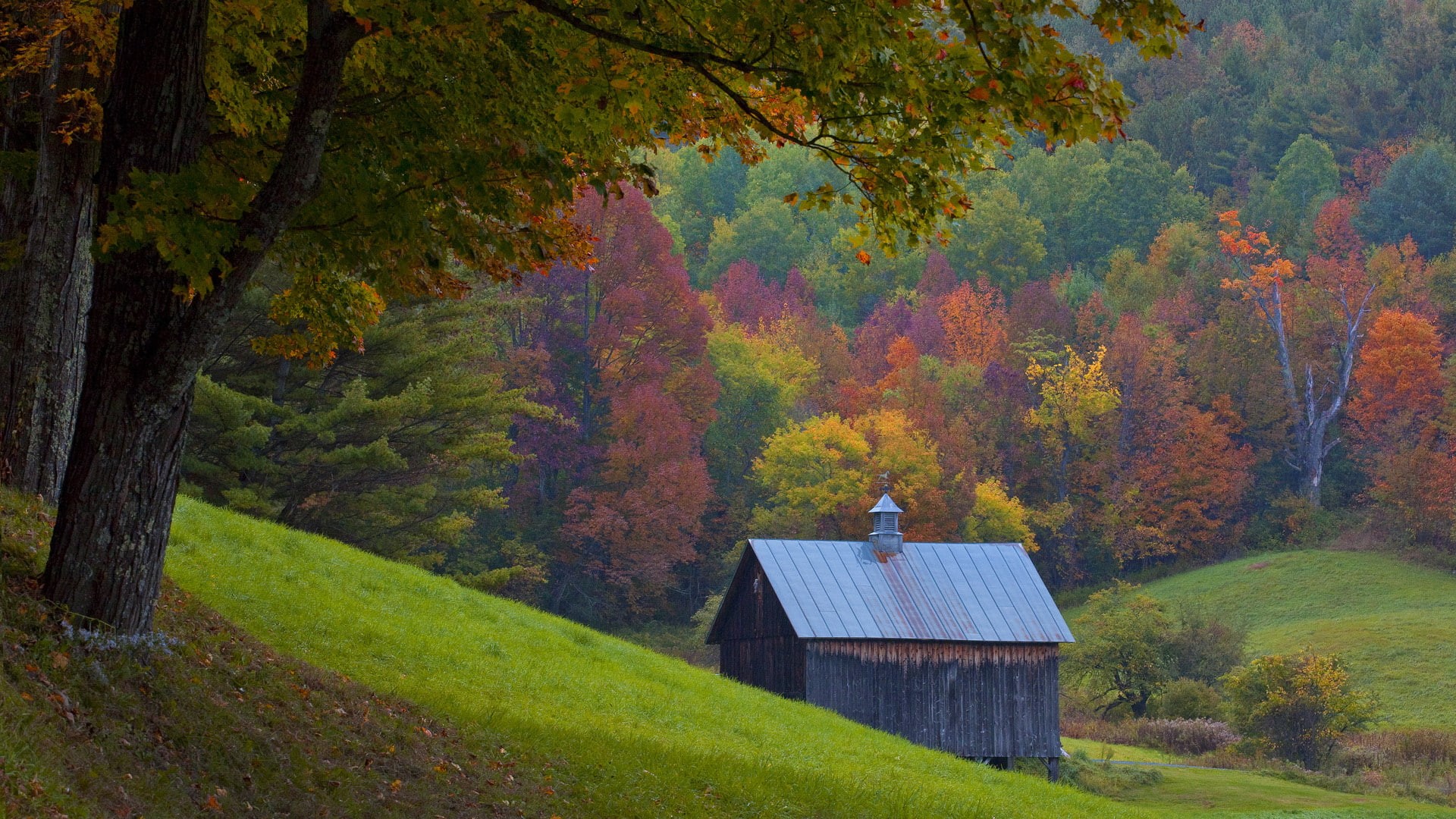 autumn, 1080P, vermont, HD Wallpaper