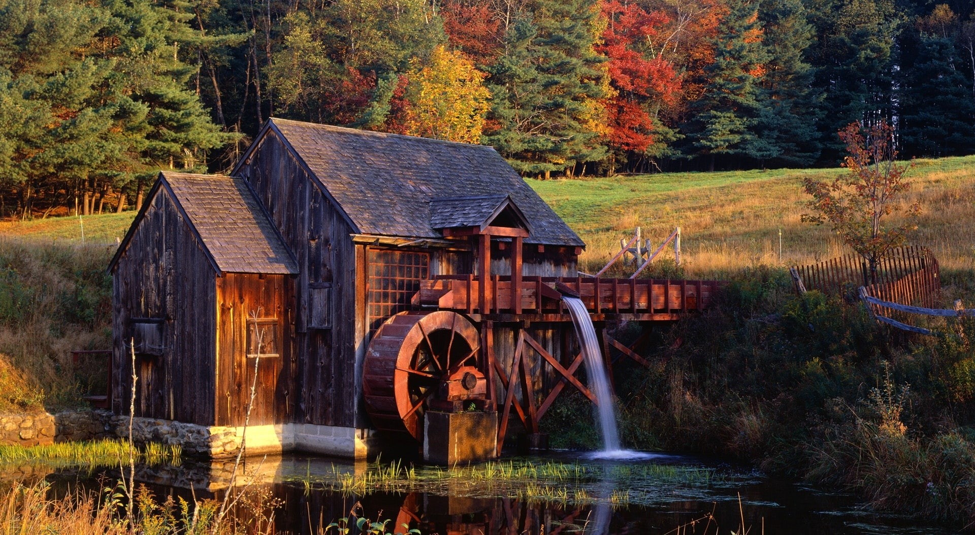 forest, beauty in nature, wood - material, tree, no people, wooden, guilford, 1080P, autumn, water, Vermont, tranquility, brown, plant, change, day, gristmill, HD Wallpaper