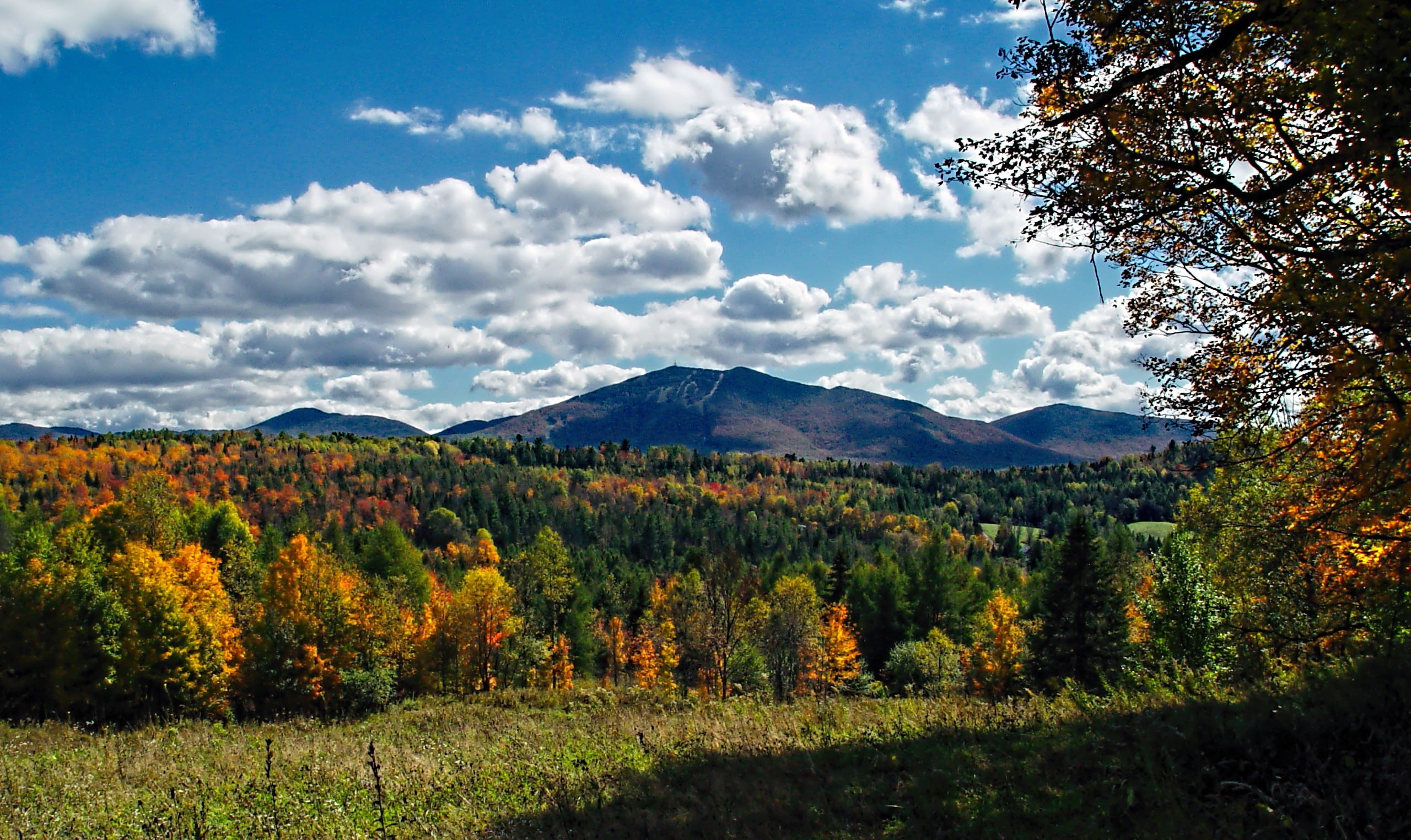 sky, plant, tranquil scene, Vermont, growth, beauty in nature, day, land, 2K, sunlight, idyllic, scenics - nature, burke, mountain, green, tranquility, HD Wallpaper