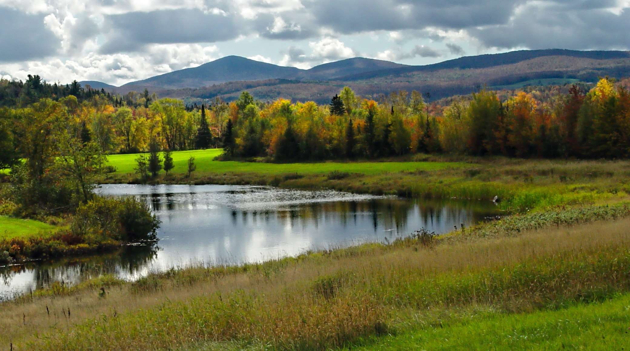 tree, tranquil scene, cloud - sky, land, vermonter, outdoors, mountains, vt, day, landscape, northeast kingdom, 1080P, tranquility, plant, scenics - nature, HD Wallpaper