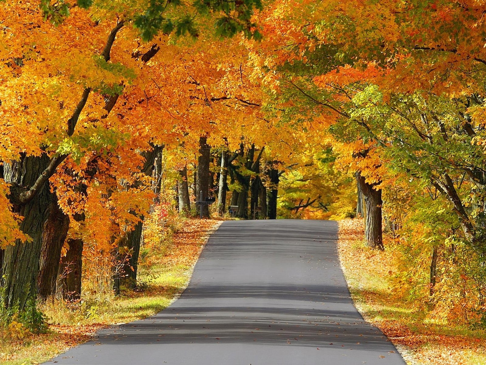 direction, color Image, autumn collection, vermont, season, scenics, diminishing perspective, rural Scene, asphalt, colors, tranquility, trees, no People, HD Wallpaper
