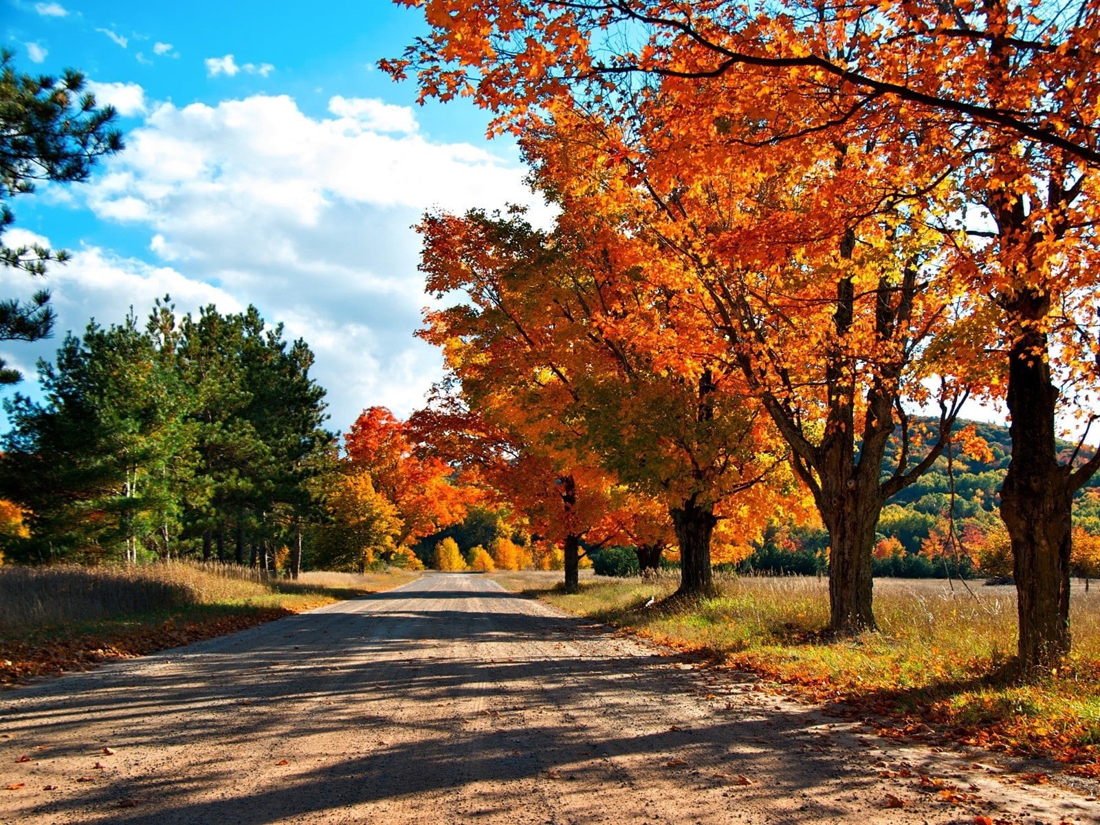 red, green Color, vermont, change, middle, maple Tree, rural Scene, direction, color Image, sky, multi Colored, travel, scenics - nature, autumn, growth, HD Wallpaper