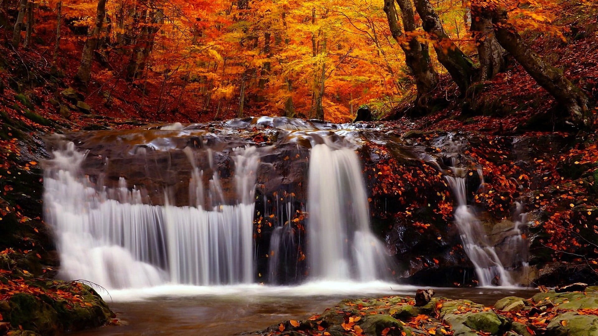 waterfall, mountain, forest, tree, plant, moss, trees, red, rock, no people, stream, rapid, green Color, lush Foliage, outdoors, freshness, tropical Rainforest, HD Wallpaper